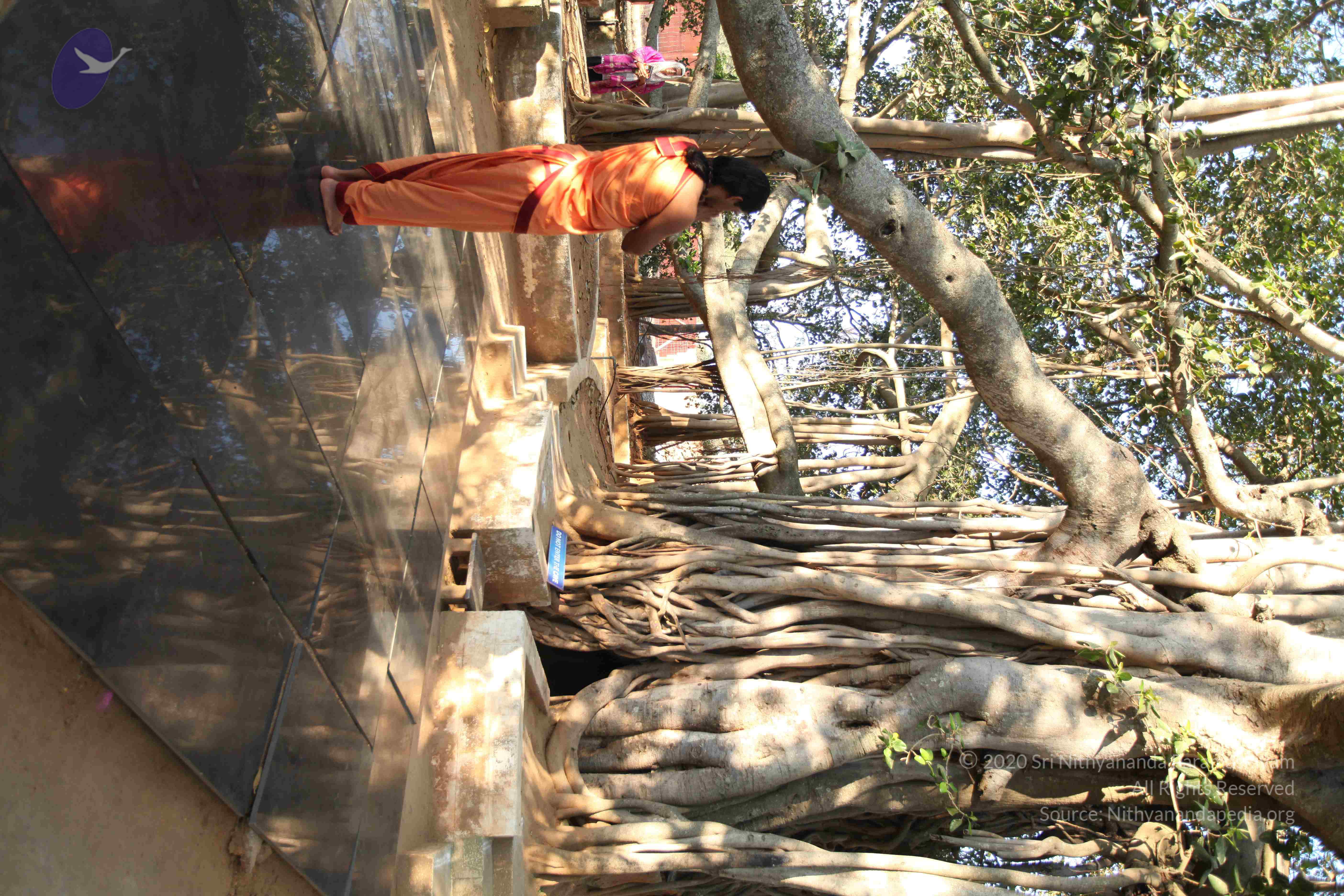 20110305_Photo_1005_IMG_7188_CMP_WM