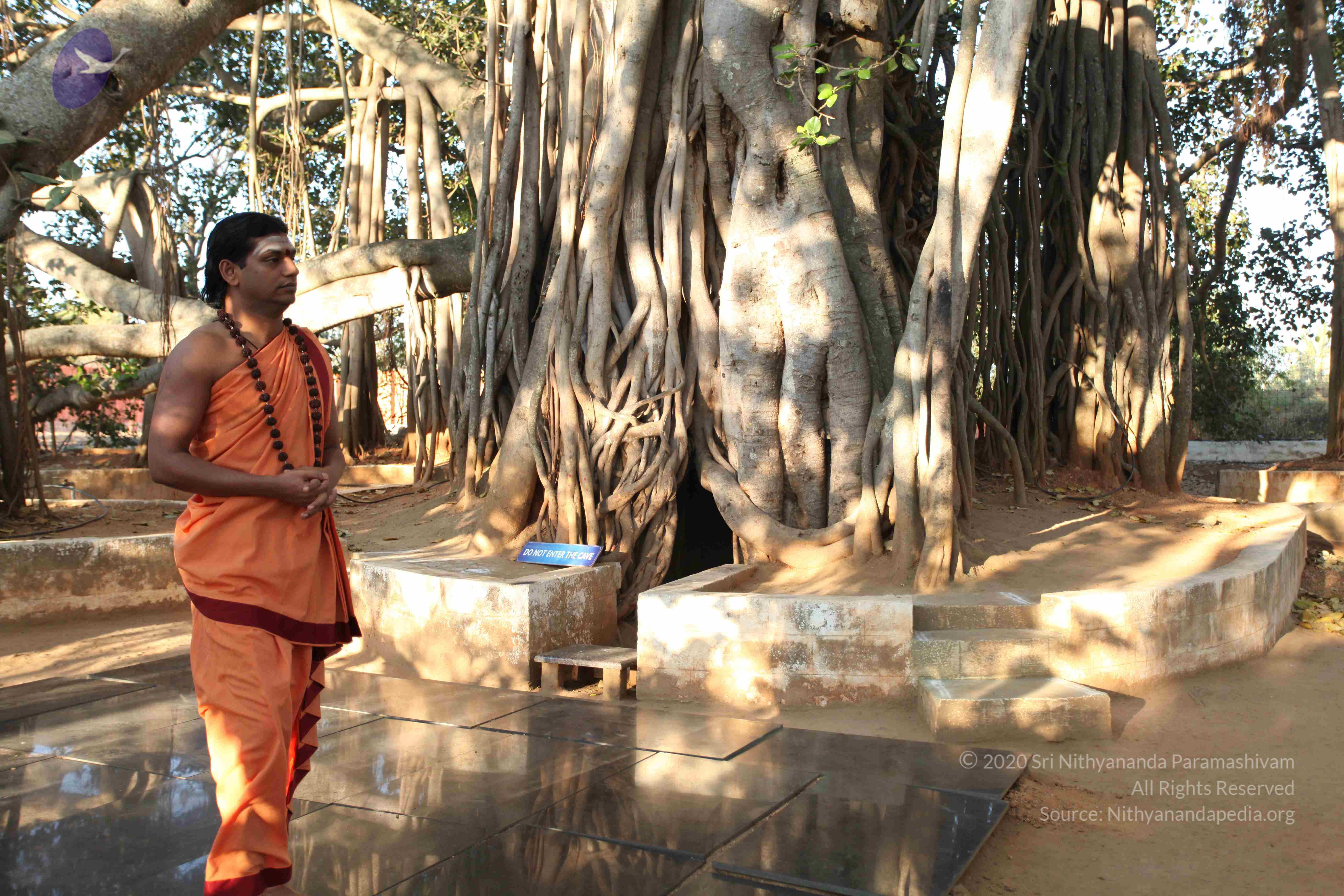 20110305_Photo_1008_IMG_7191_CMP_WM