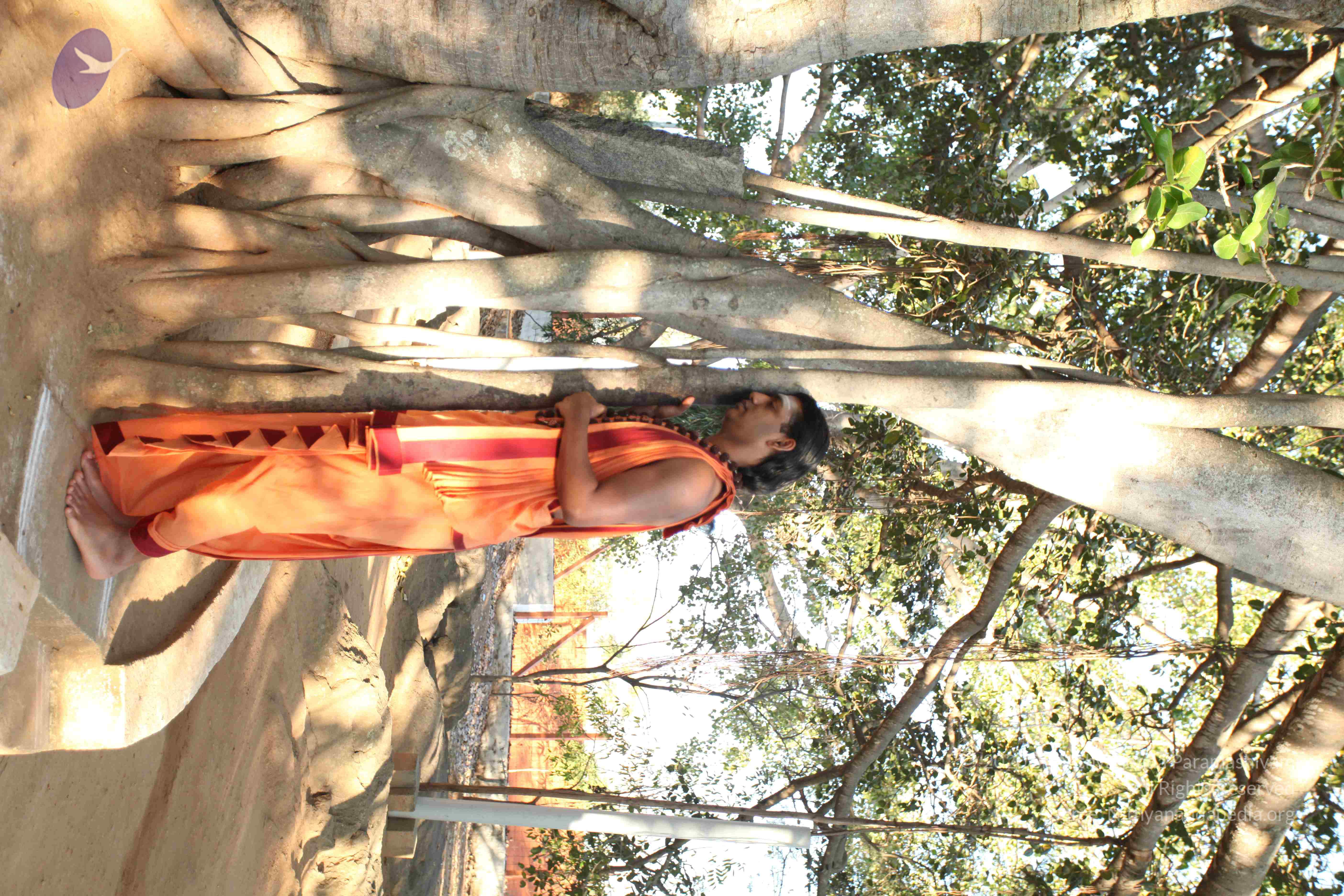 20110305_Photo_1013_IMG_7180_CMP_WM