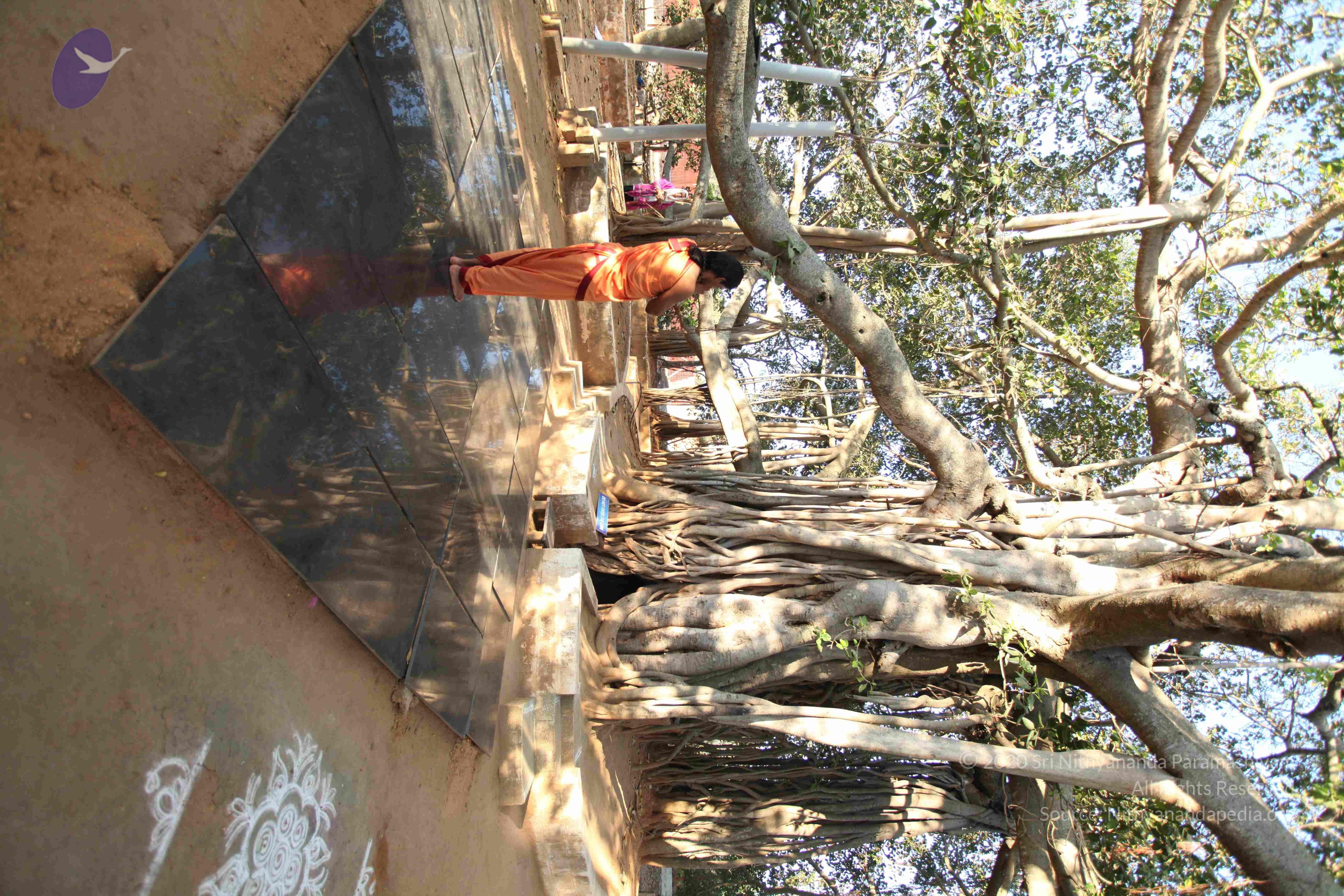 20110305_Photo_1016_IMG_7187_CMP_WM