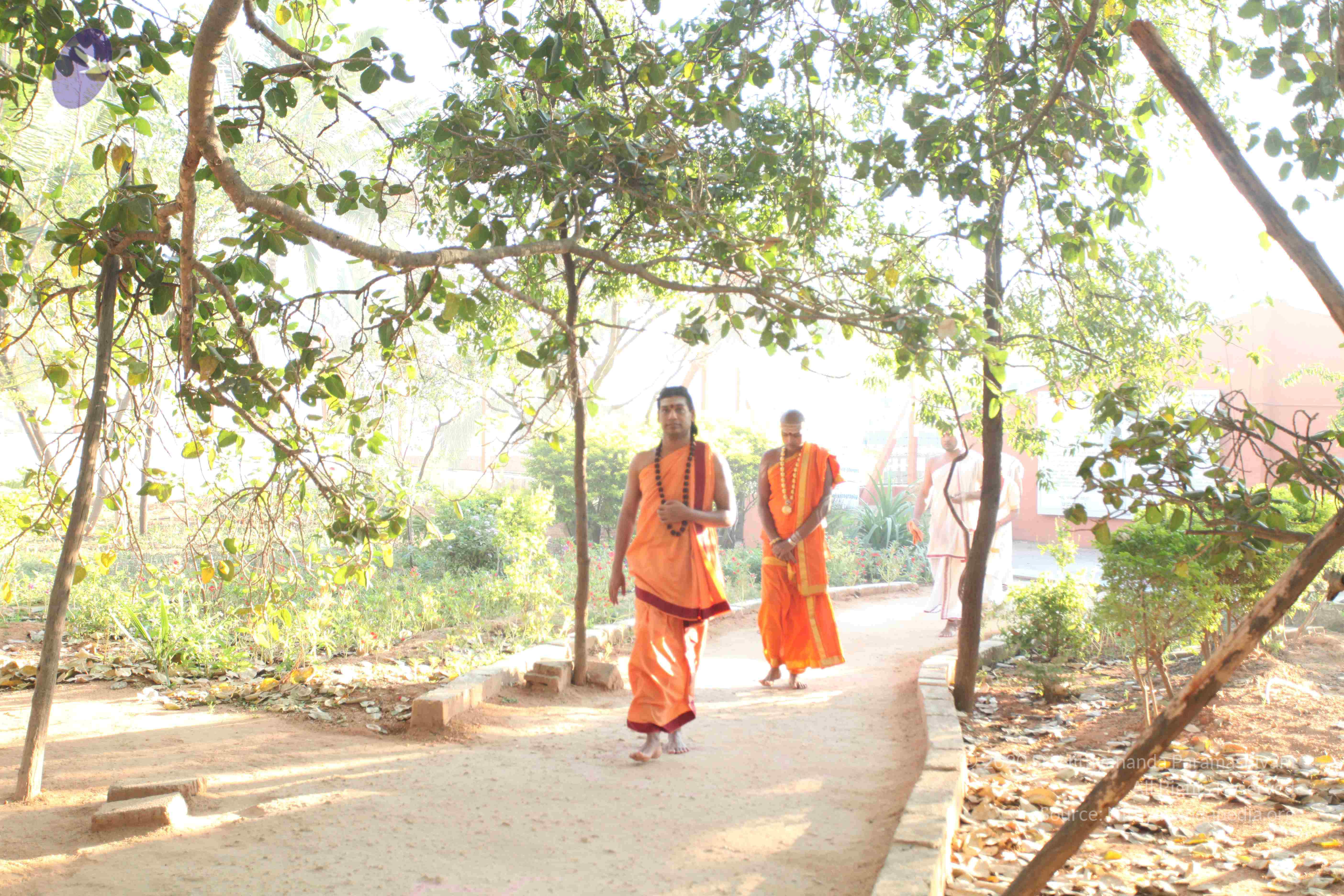 20110305_Photo_1020_IMG_7175_CMP_WM