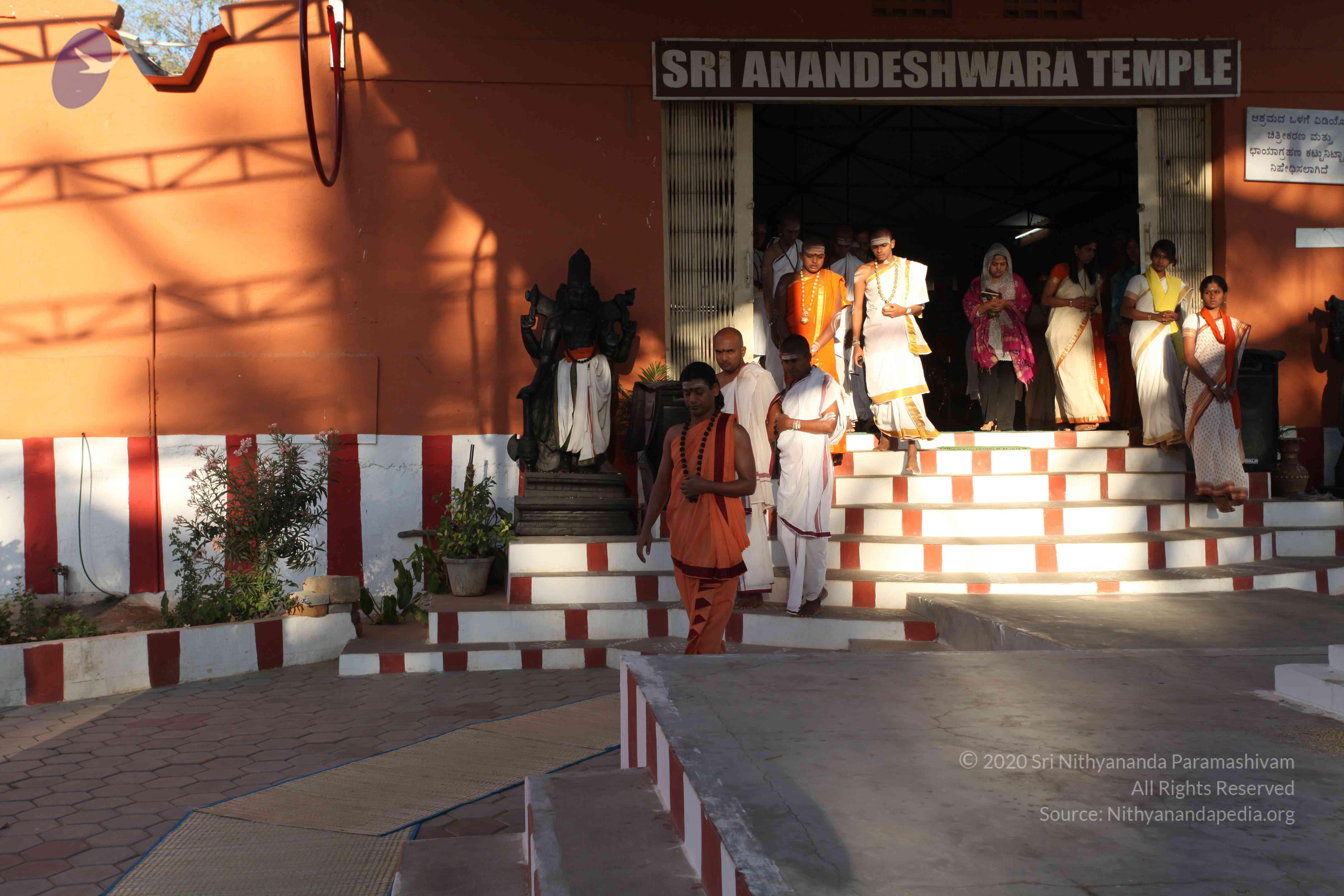 20110305_Photo_1023_IMG_7200_CMP_WM