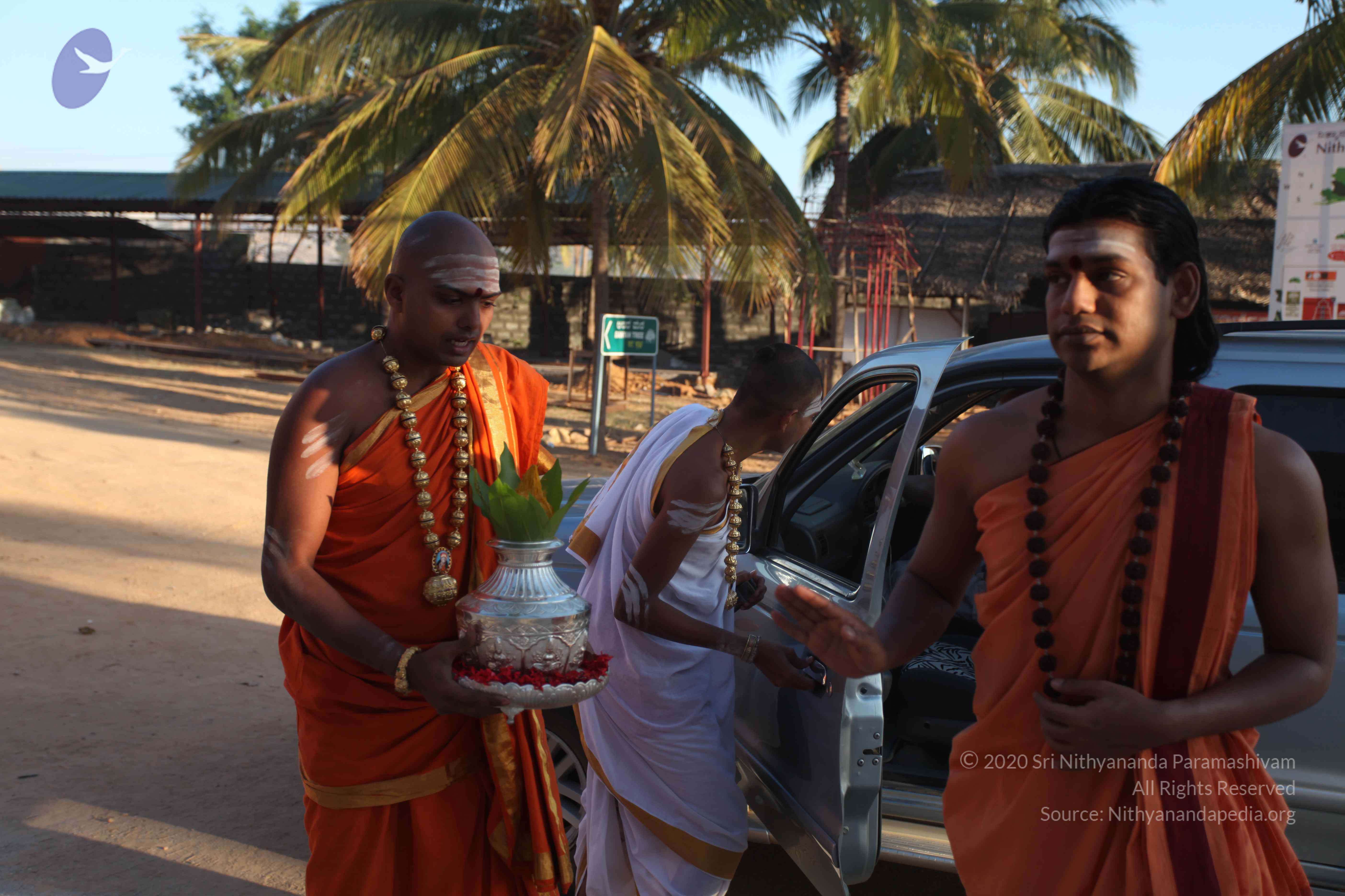 20110305_Photo_1029_IMG_7156_CMP_WM