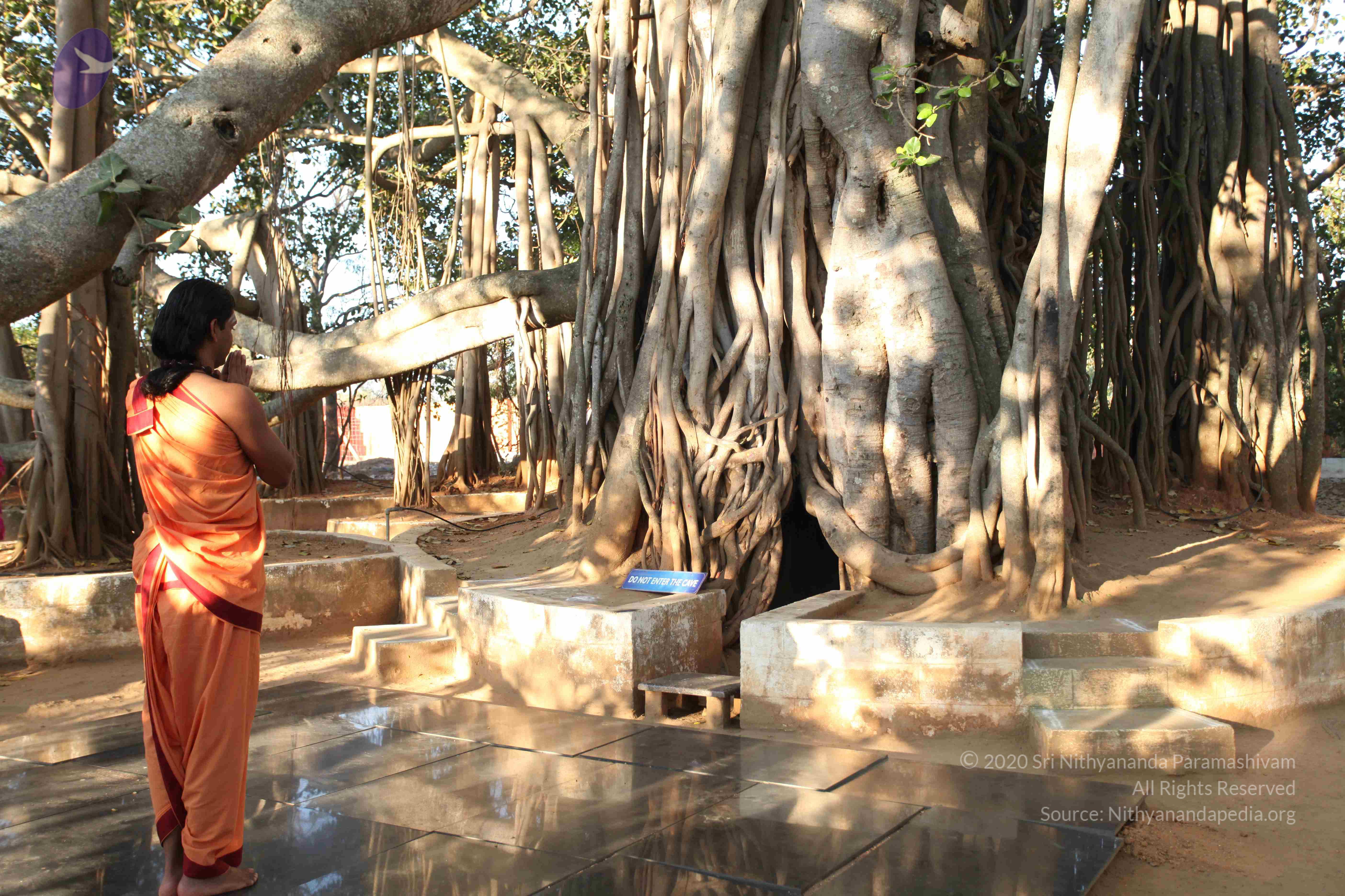 20110305_Photo_1031_IMG_7190_CMP_WM