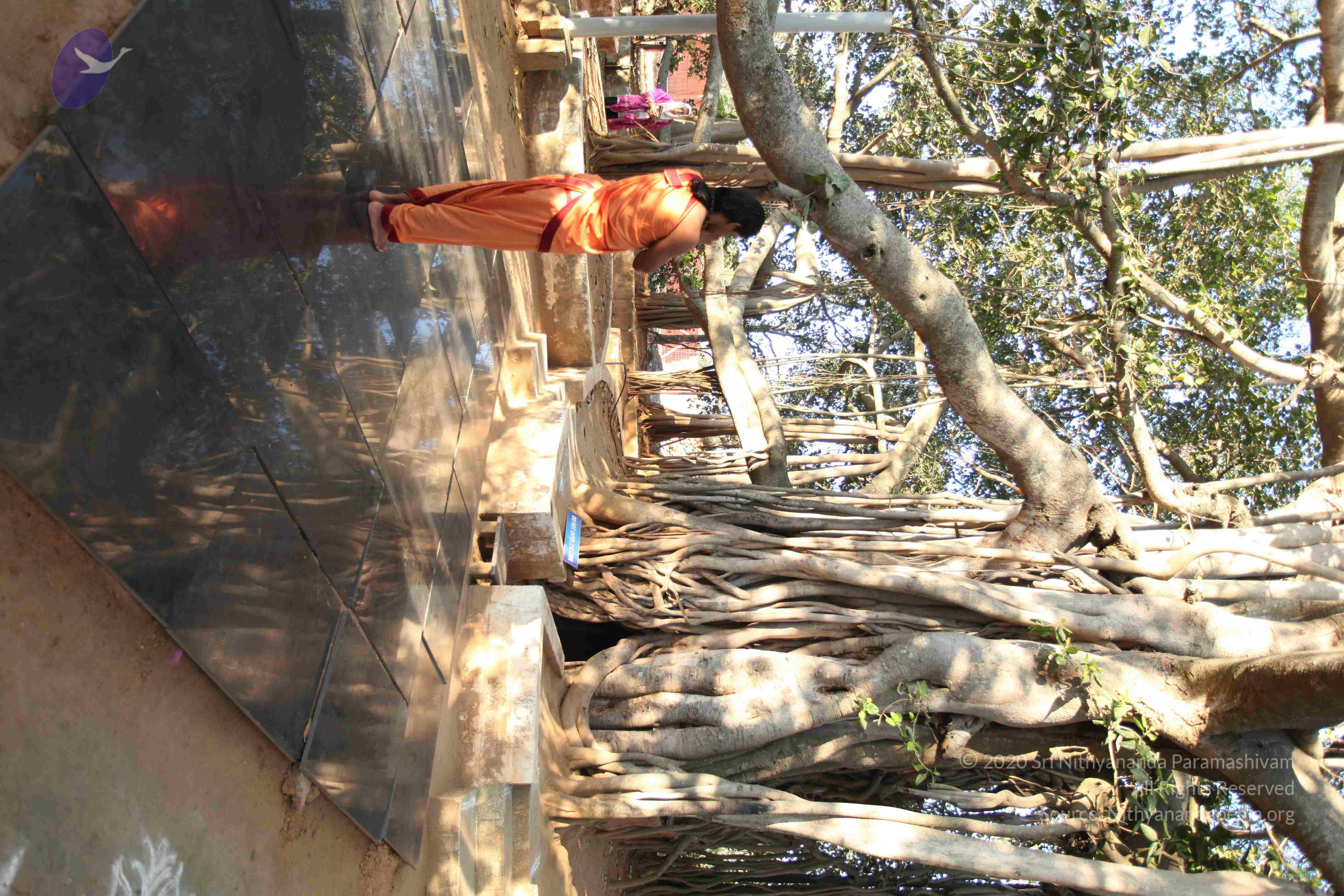 20110305_Photo_1045_IMG_7189_CMP_WM