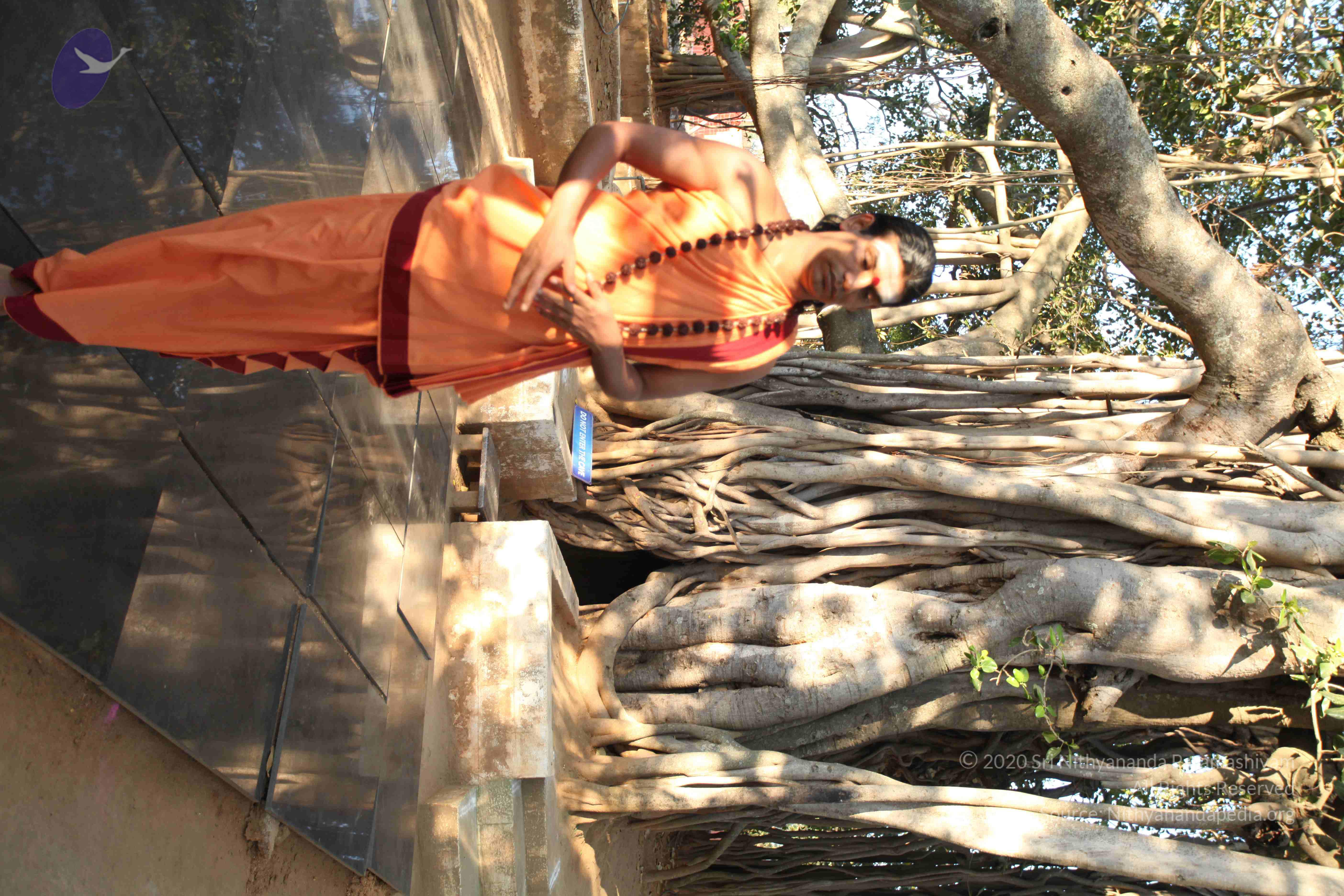 20110305_Photo_1047_IMG_7192_CMP_WM