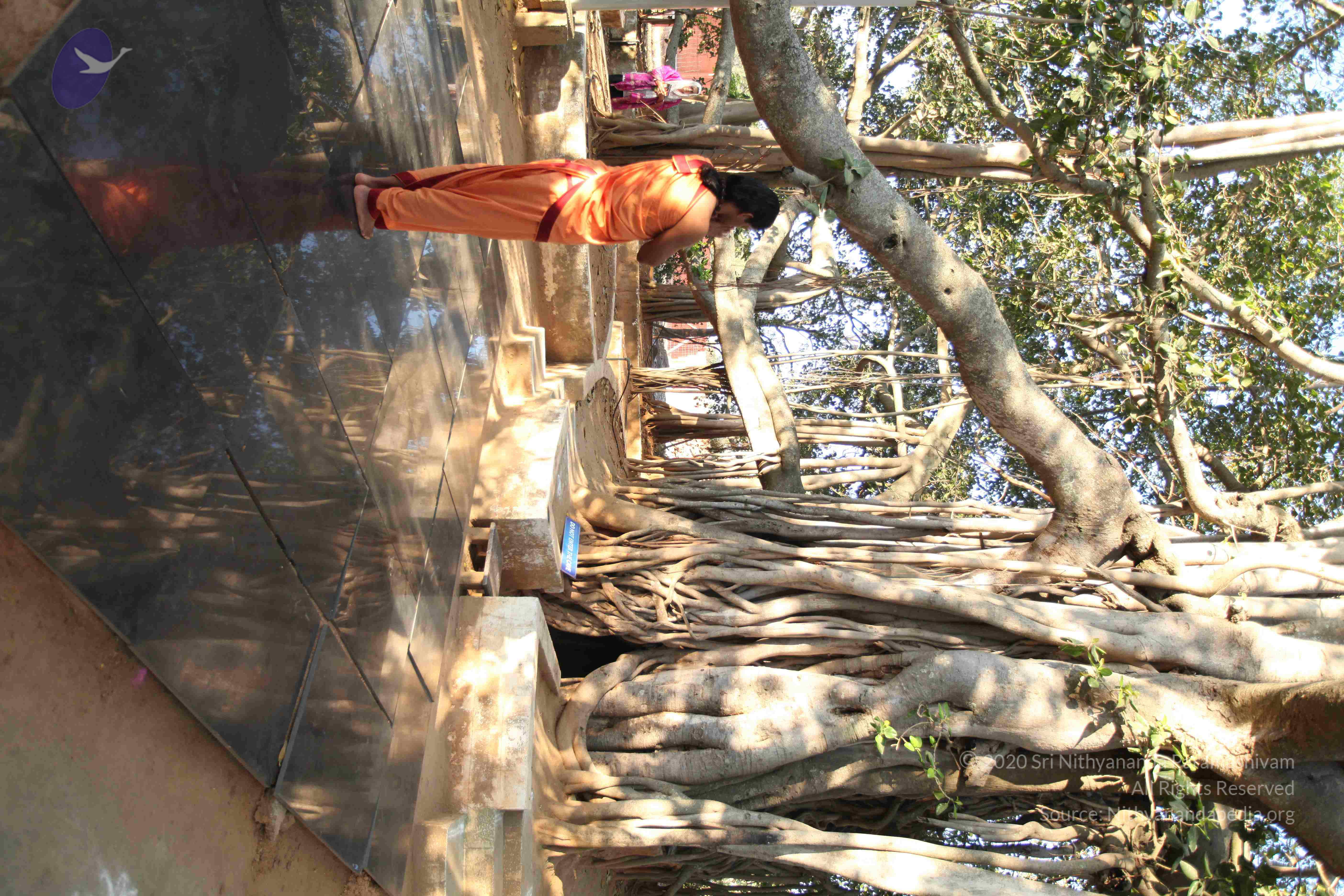 20110305_Photo_1051_IMG_7186_CMP_WM