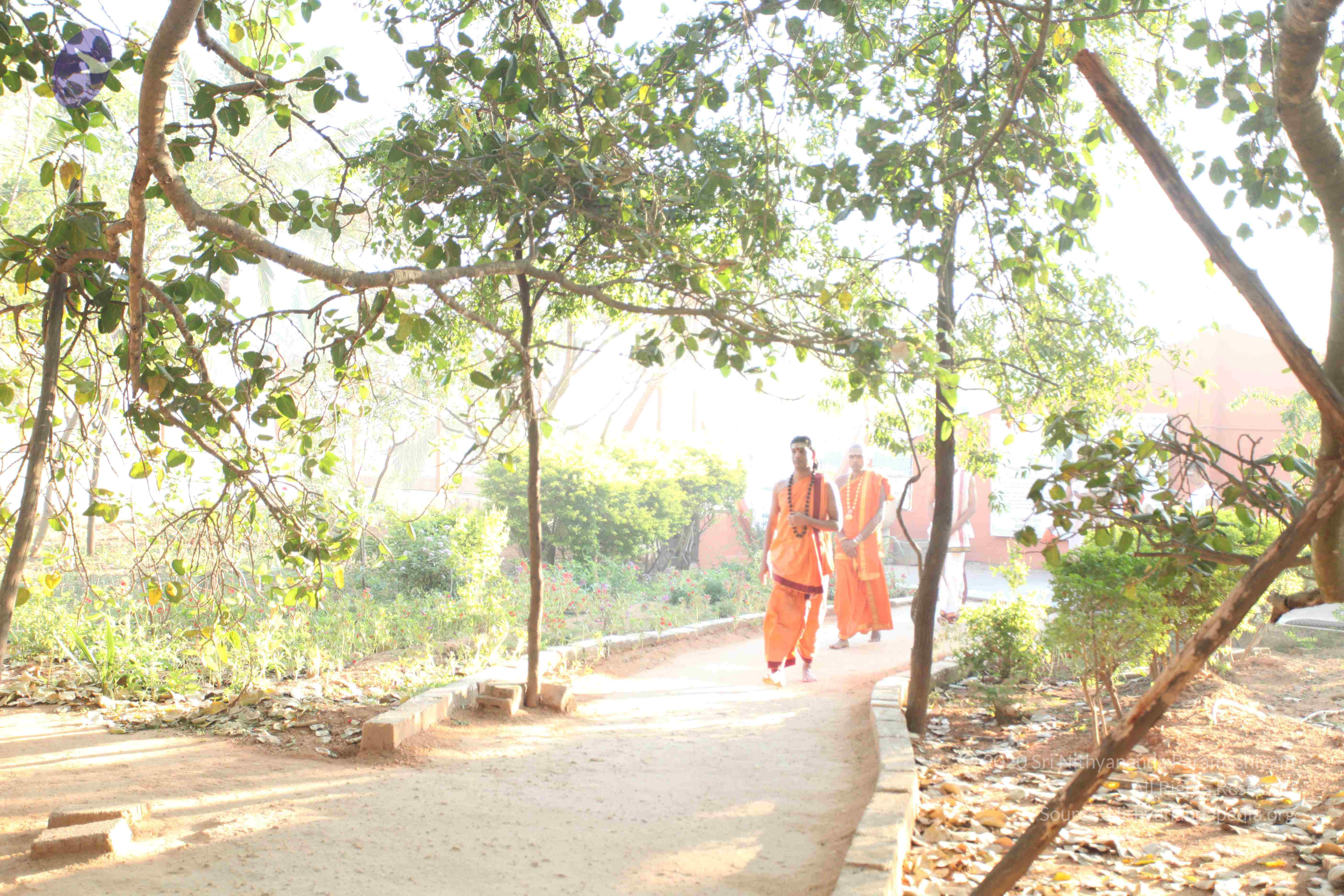 20110305_Photo_1055_IMG_7174_CMP_WM