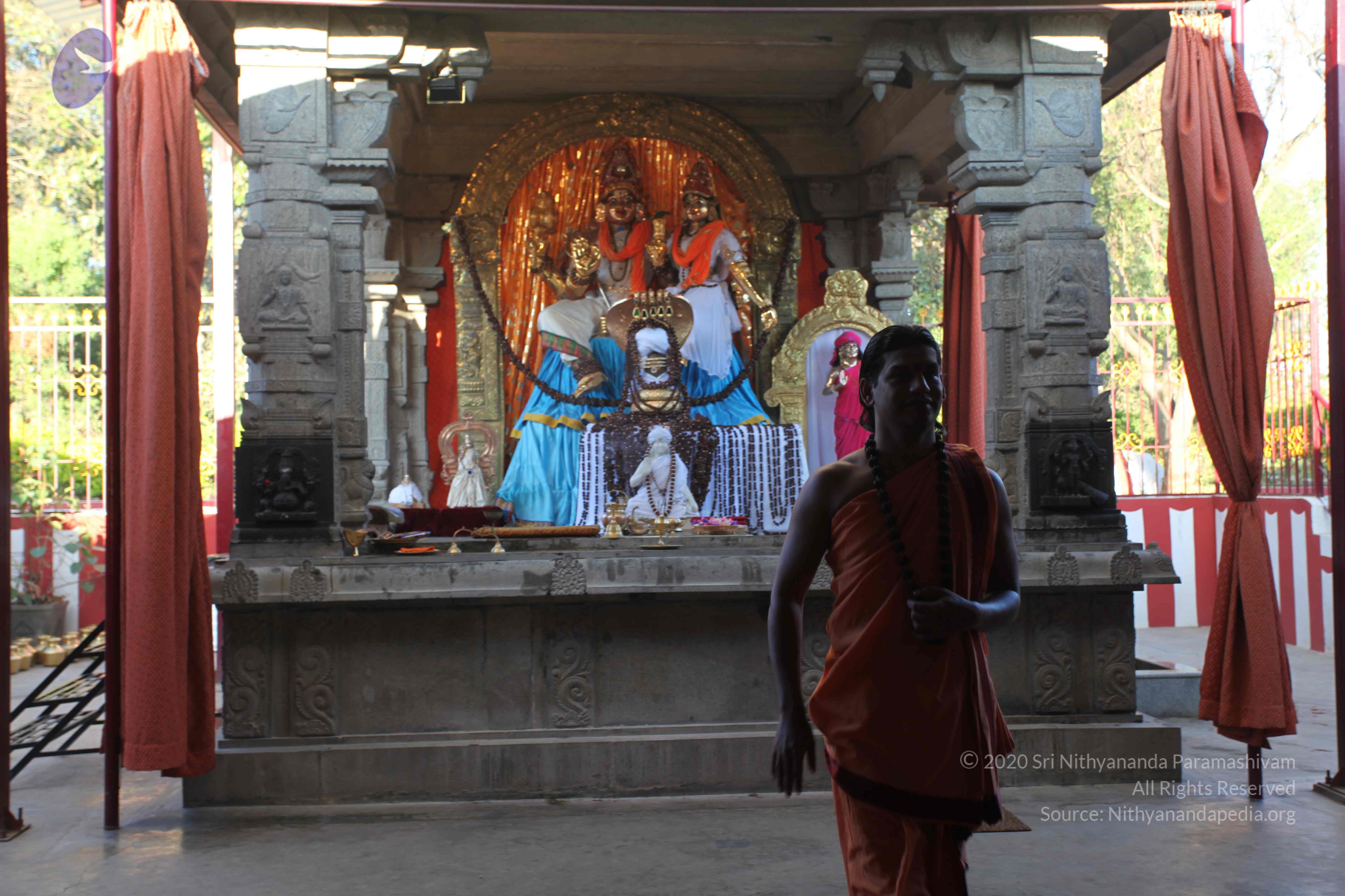 20110305_Photo_1057_IMG_7197_CMP_WM