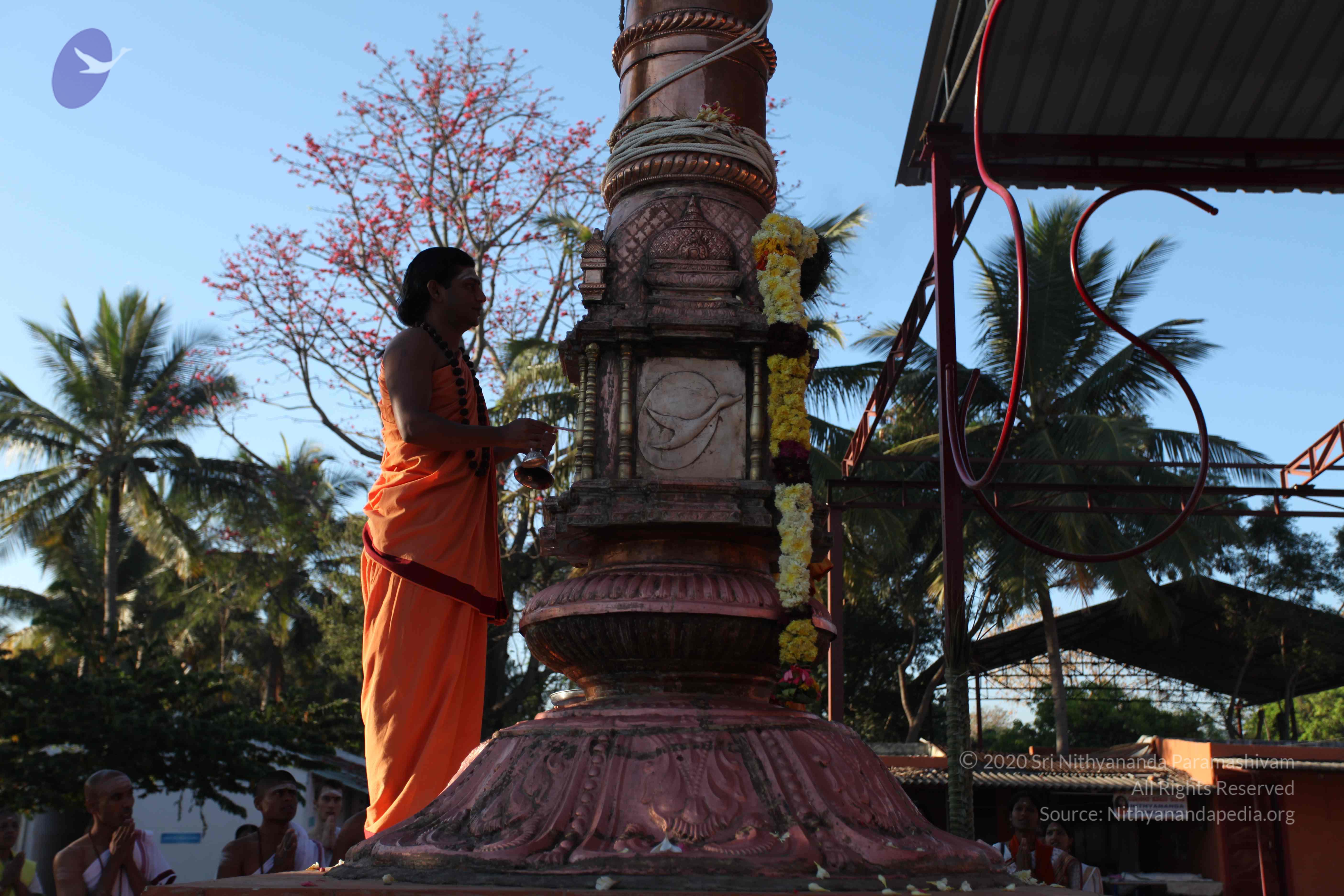 20110305_Photo_1006_IMG_7260_CMP_WM