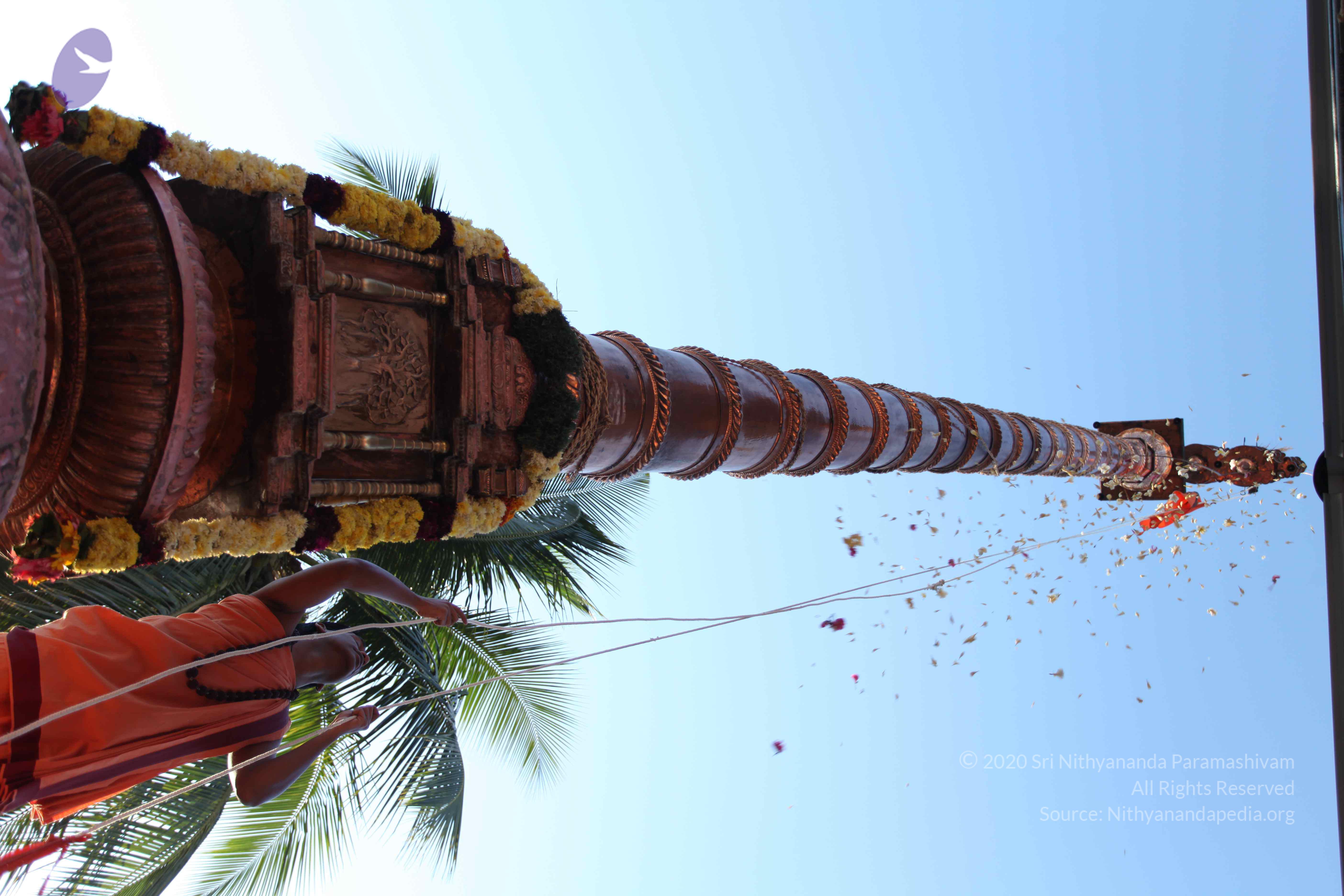 20110305_Photo_1022_IMG_7226_CMP_WM