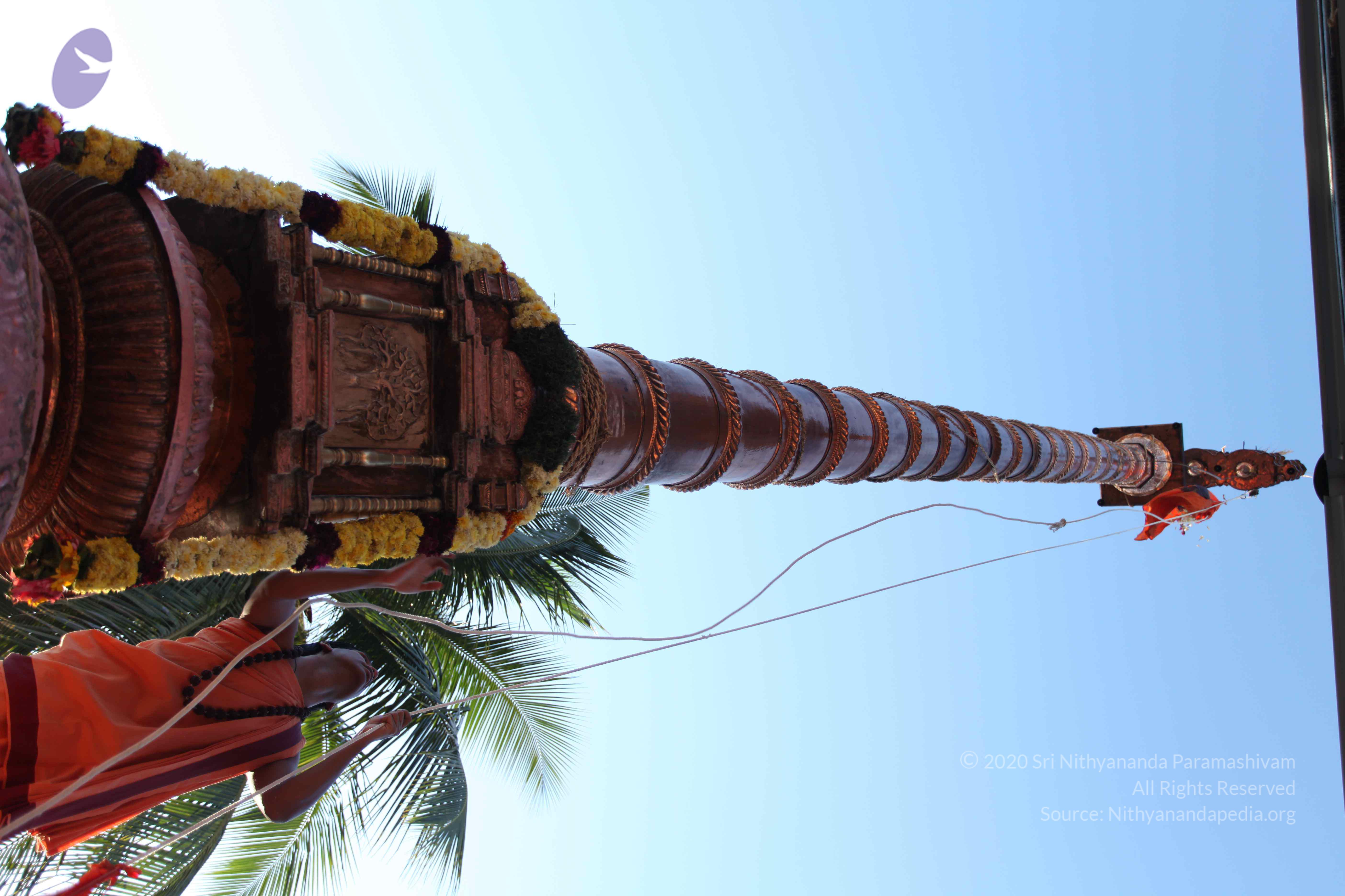 20110305_Photo_1035_IMG_7223_CMP_WM