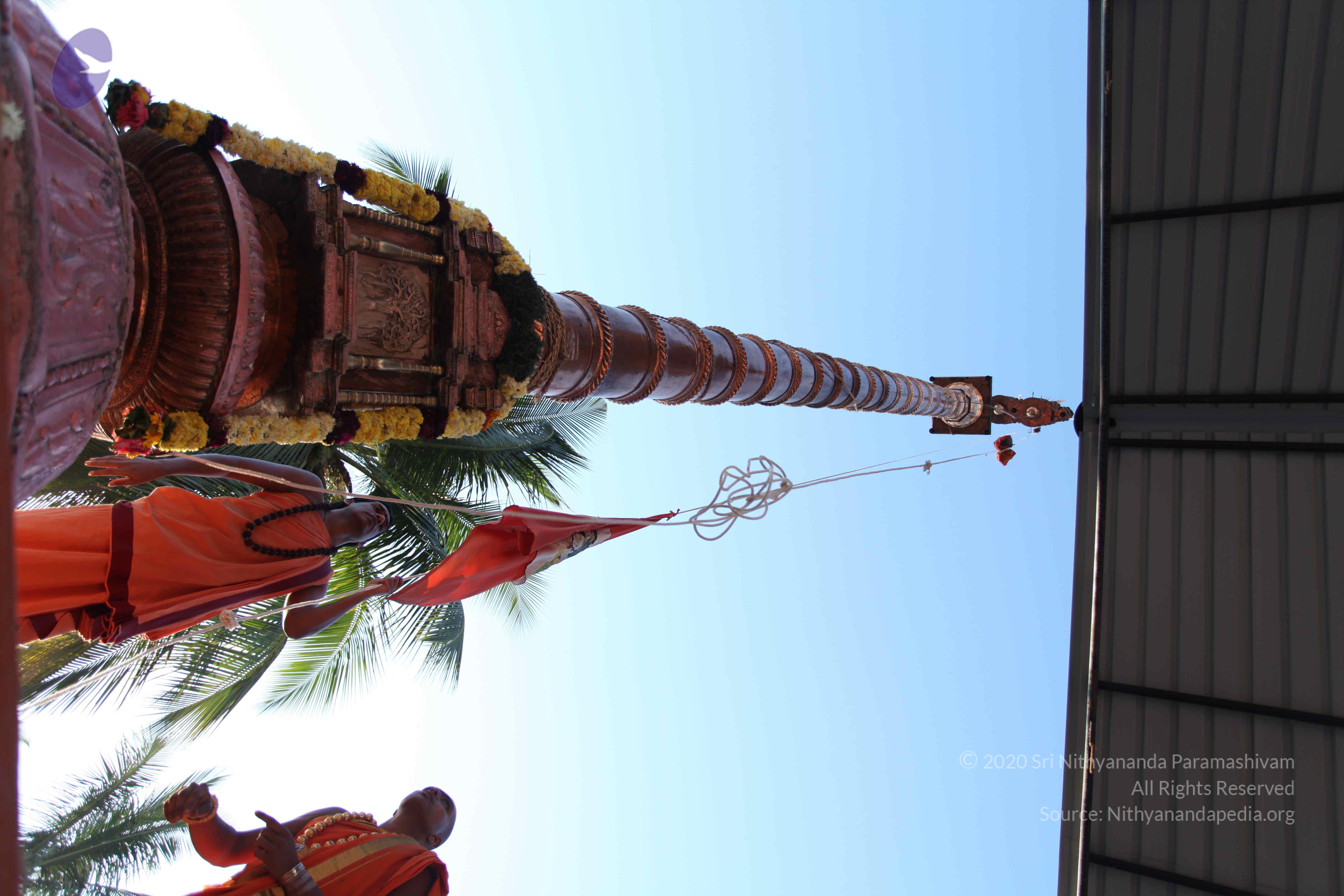 20110305_Photo_1047_IMG_7217_CMP_WM