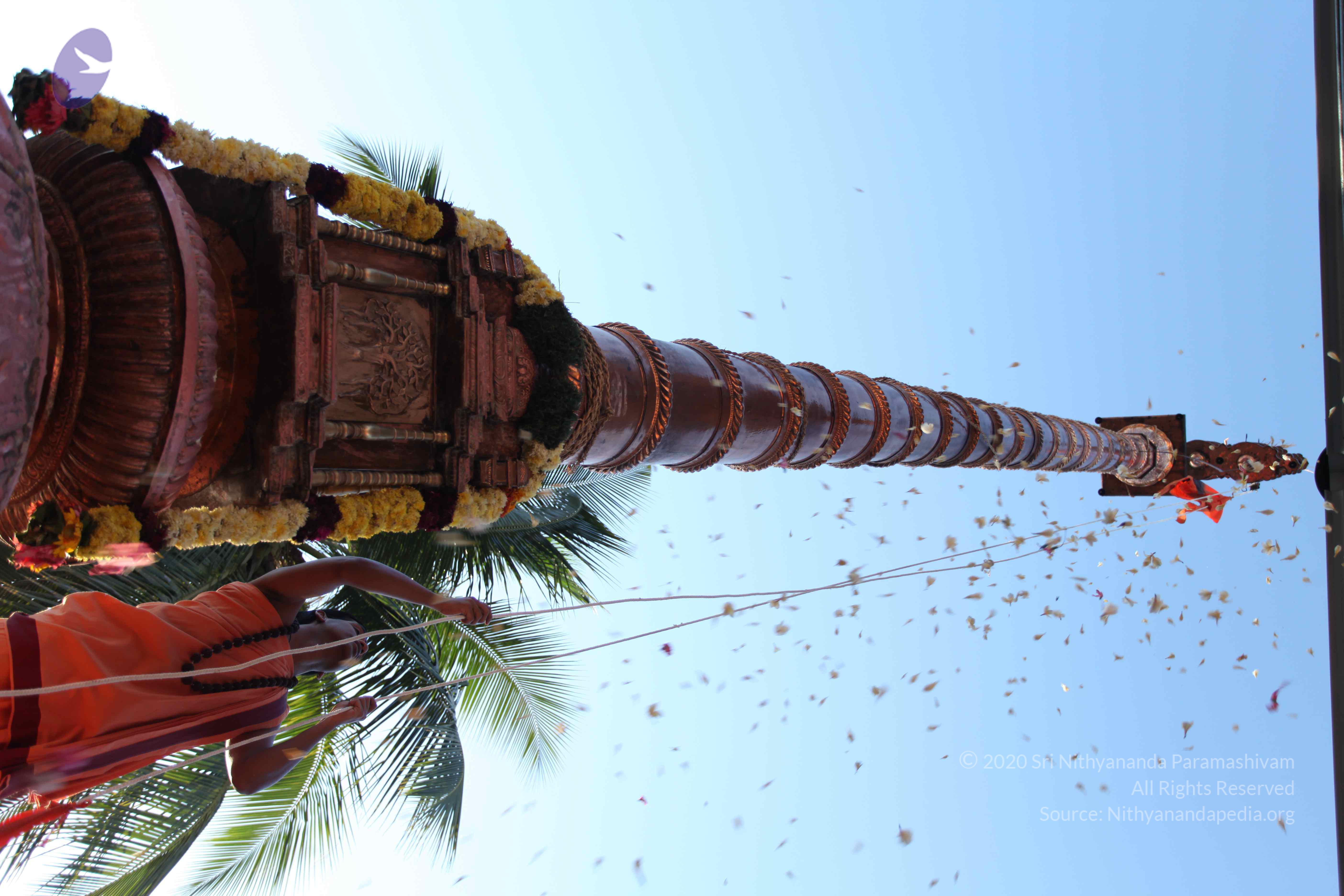 20110305_Photo_1072_IMG_7227_CMP_WM