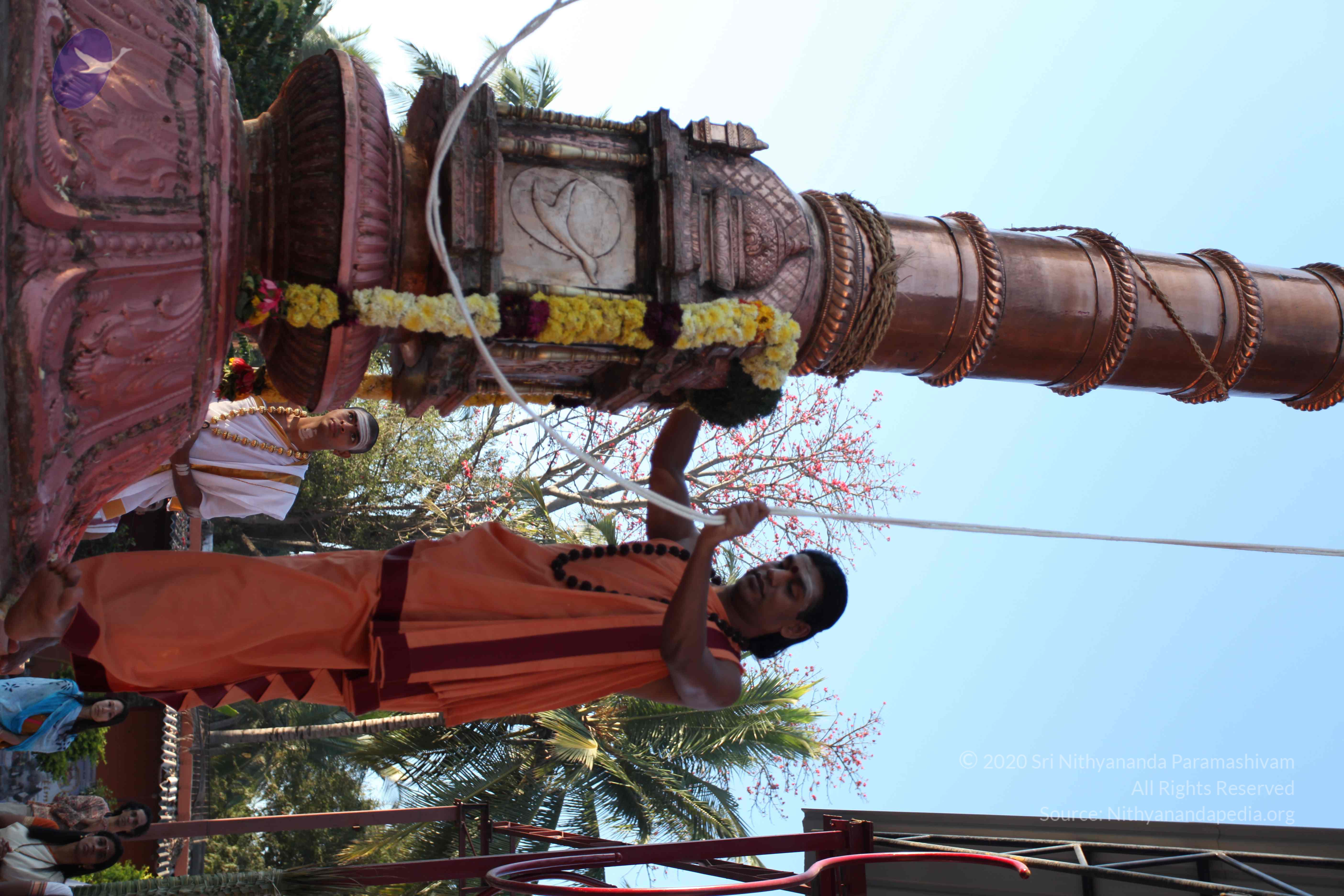 20110305_Photo_1074_IMG_7245_CMP_WM