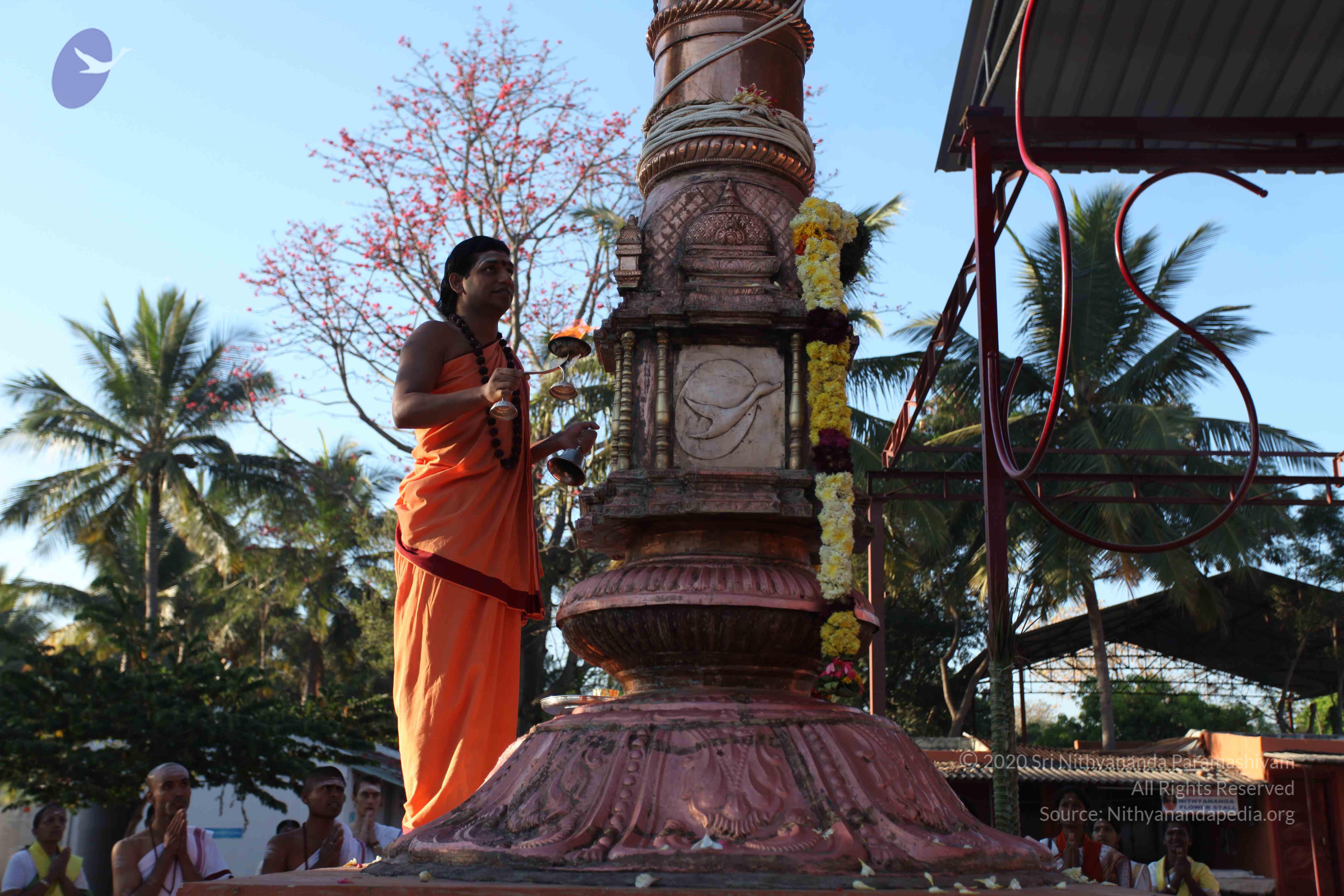 20110305_Photo_1075_IMG_7259_CMP_WM