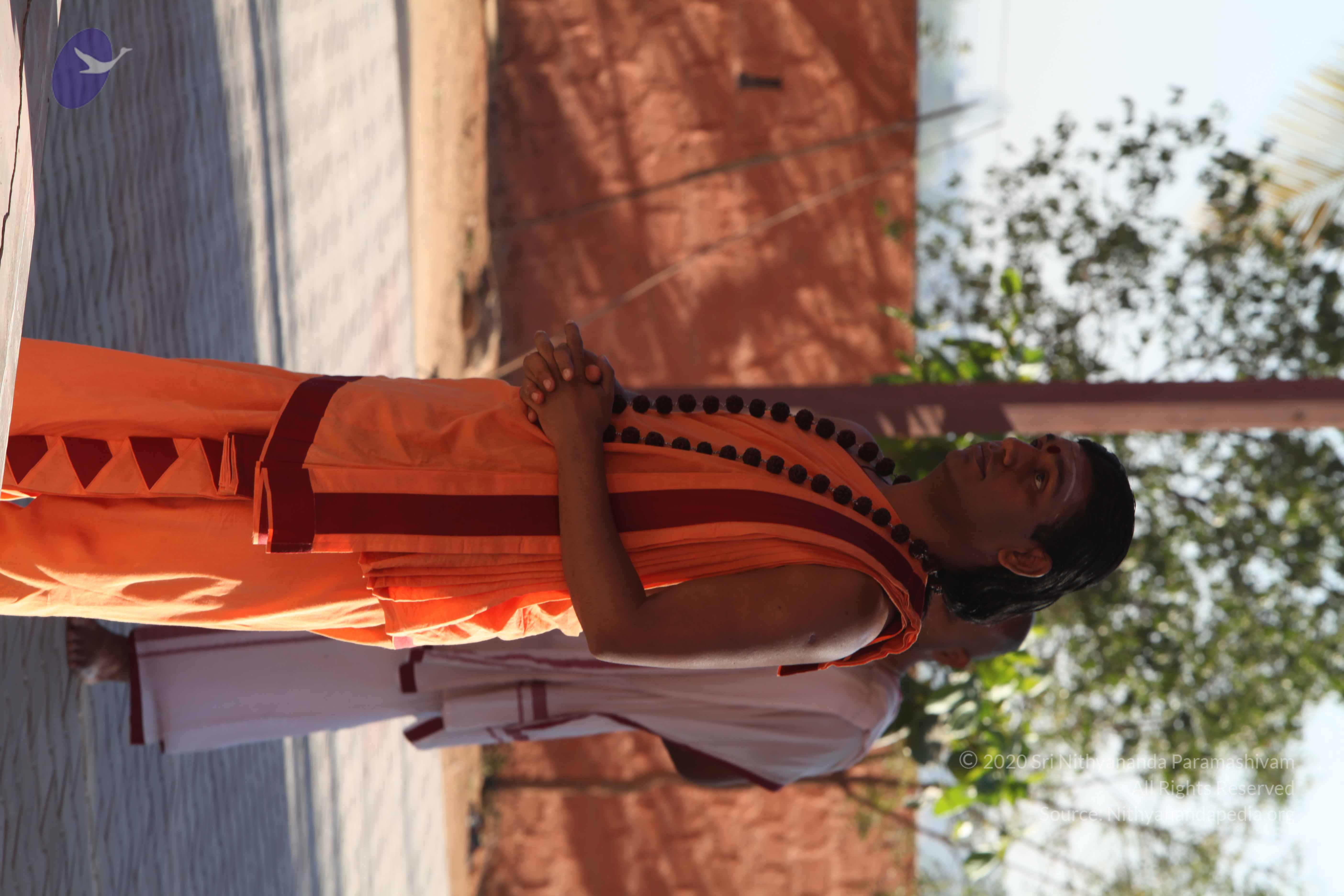 20110305_Photo_1005_IMG_7368_CMP_WM