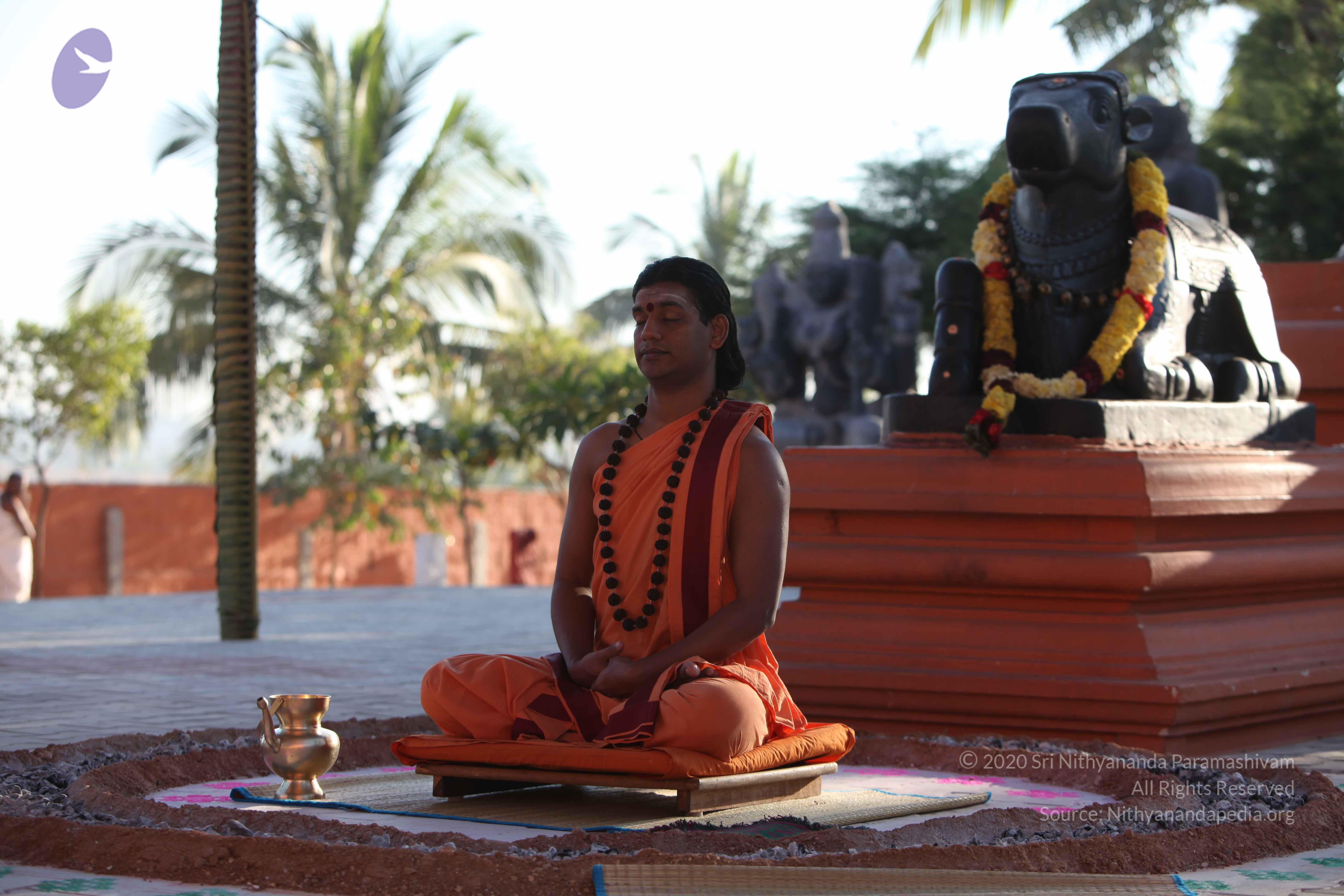 20110305_Photo_1011_IMG_7297_CMP_WM