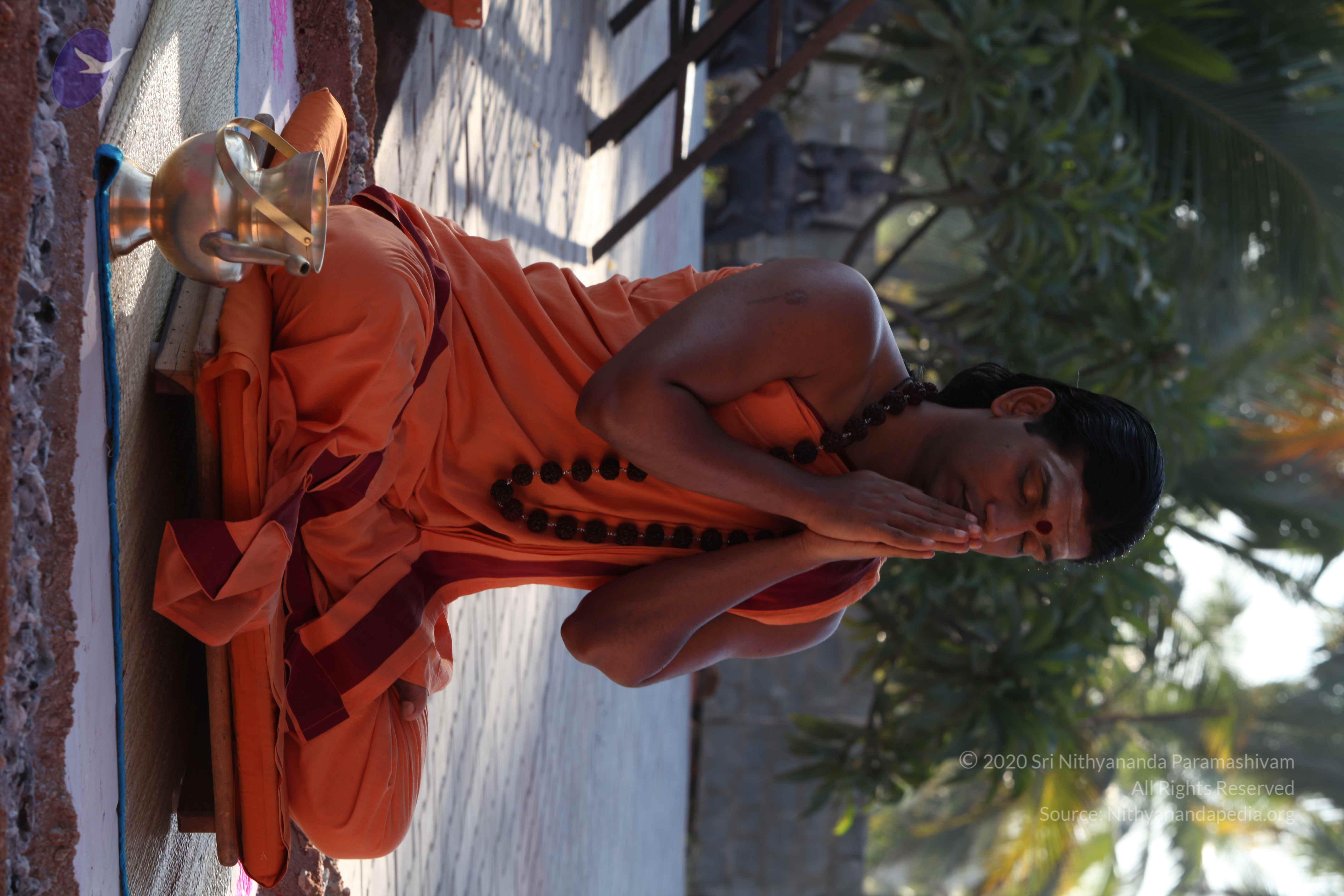 20110305_Photo_1015_IMG_7357_CMP_WM