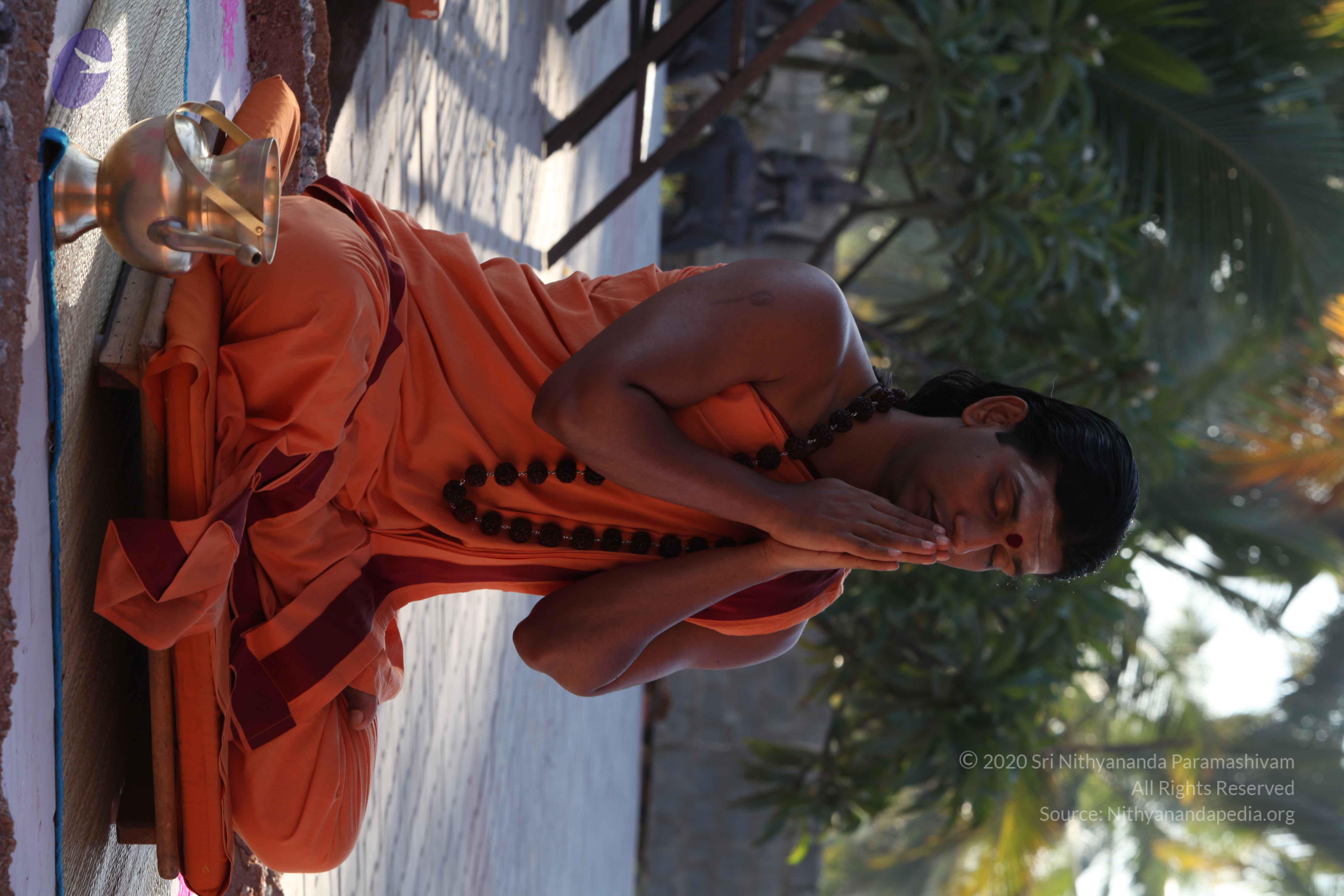 20110305_Photo_1025_IMG_7358_CMP_WM