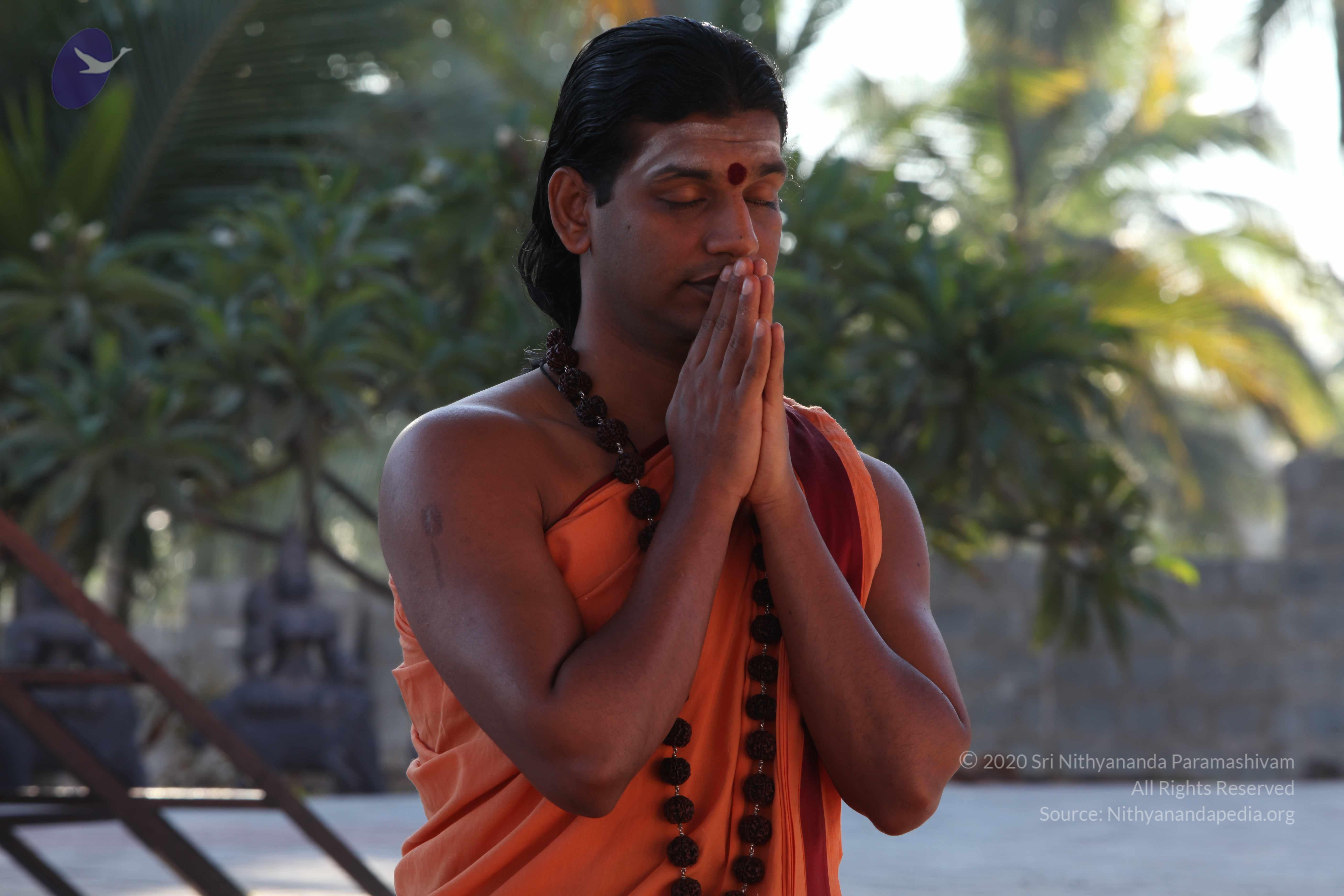 20110305_Photo_1032_IMG_7362_CMP_WM