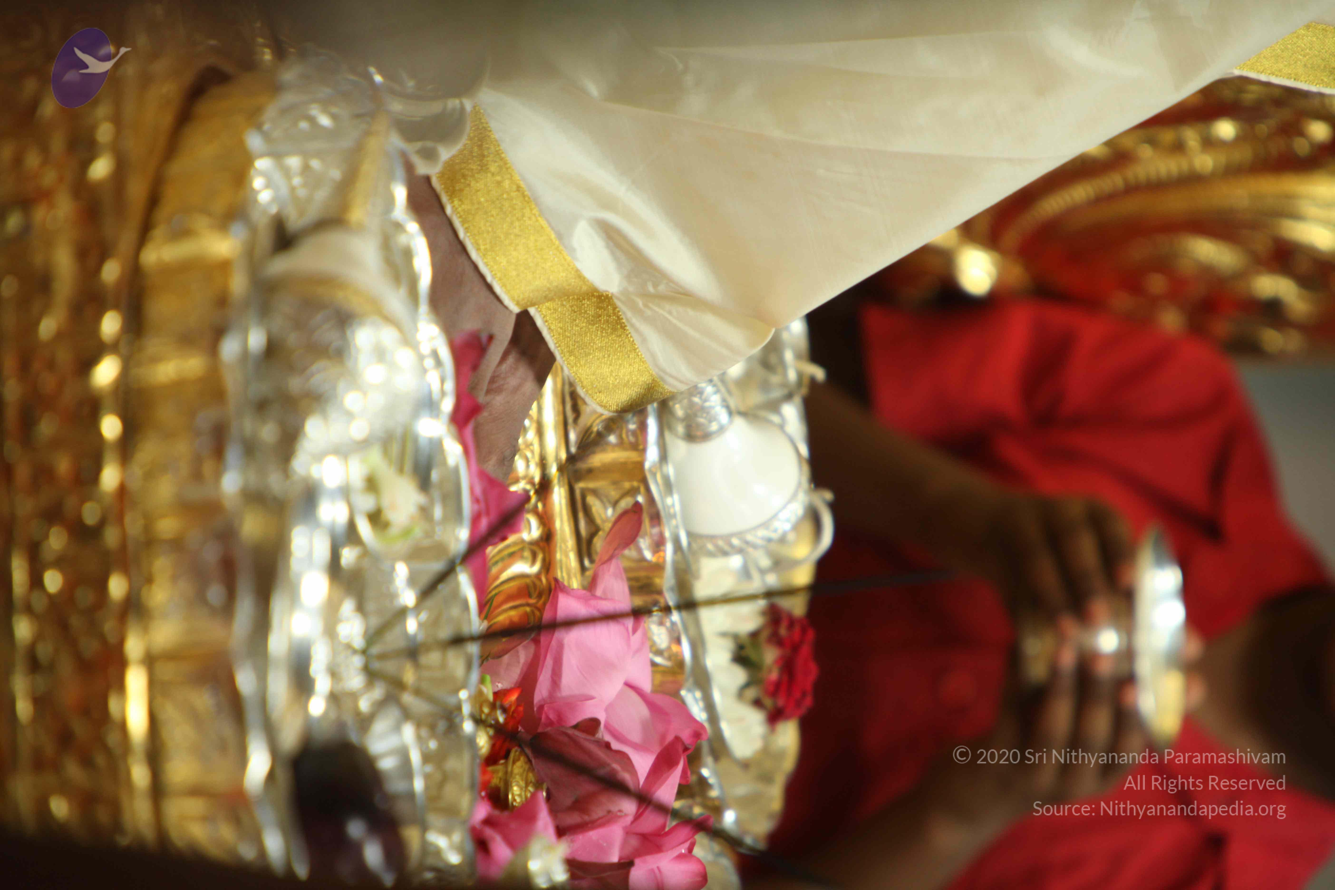 20110305_Photo_1023_IMG_7432_CMP_WM