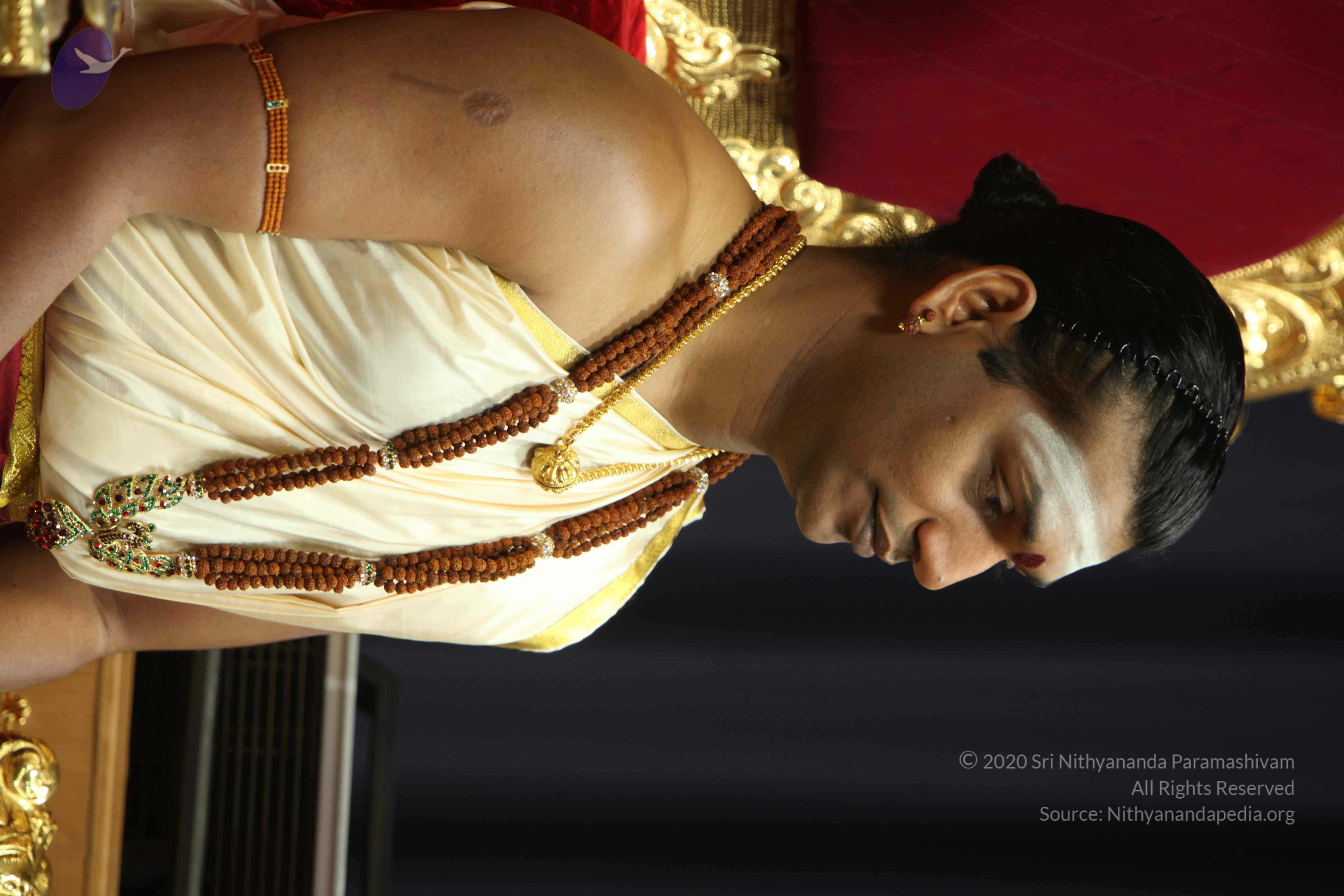 20110305_Photo_1037_IMG_7411_CMP_WM