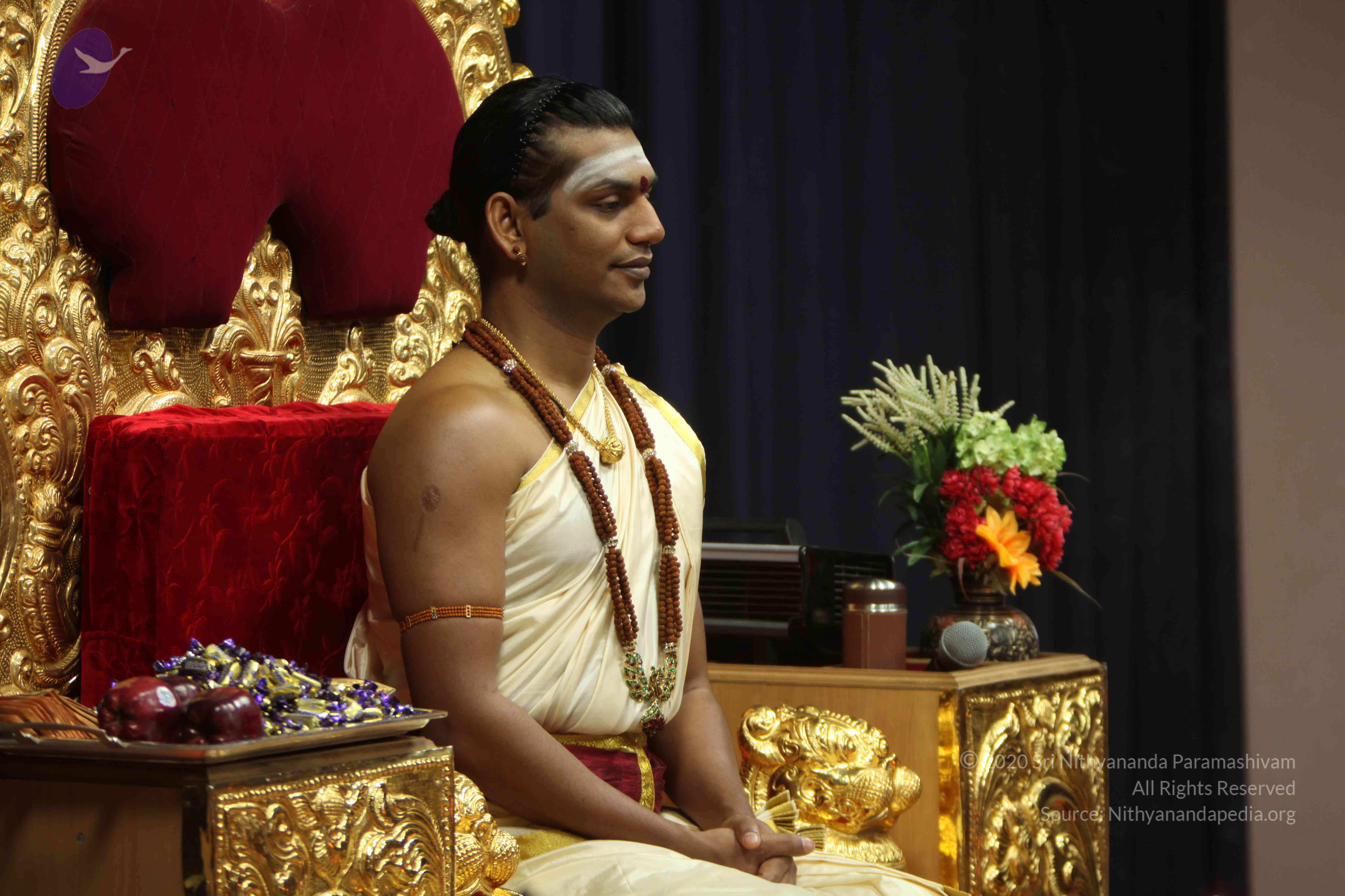 20110305_Photo_1040_IMG_7462_CMP_WM