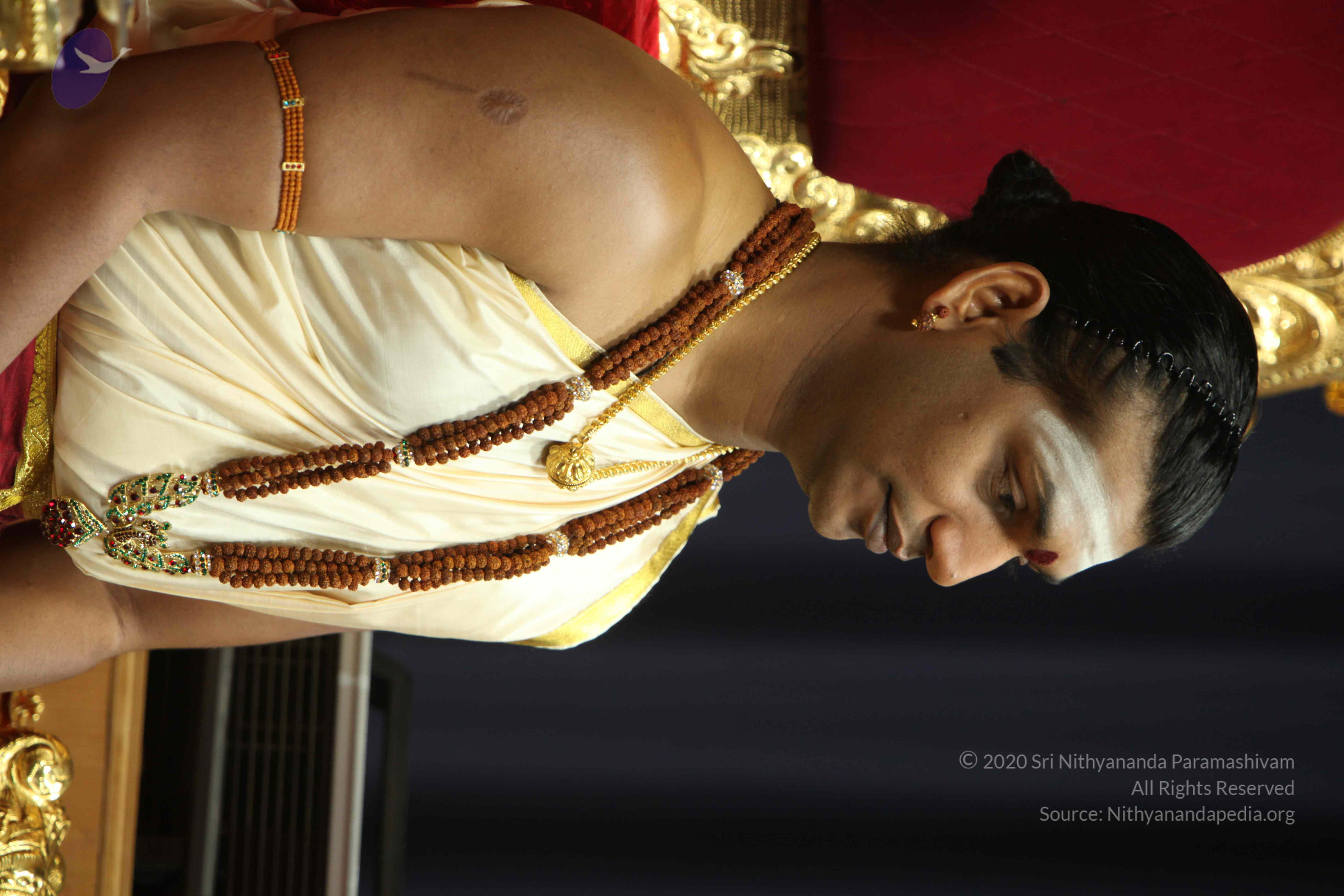 20110305_Photo_1047_IMG_7412_CMP_WM