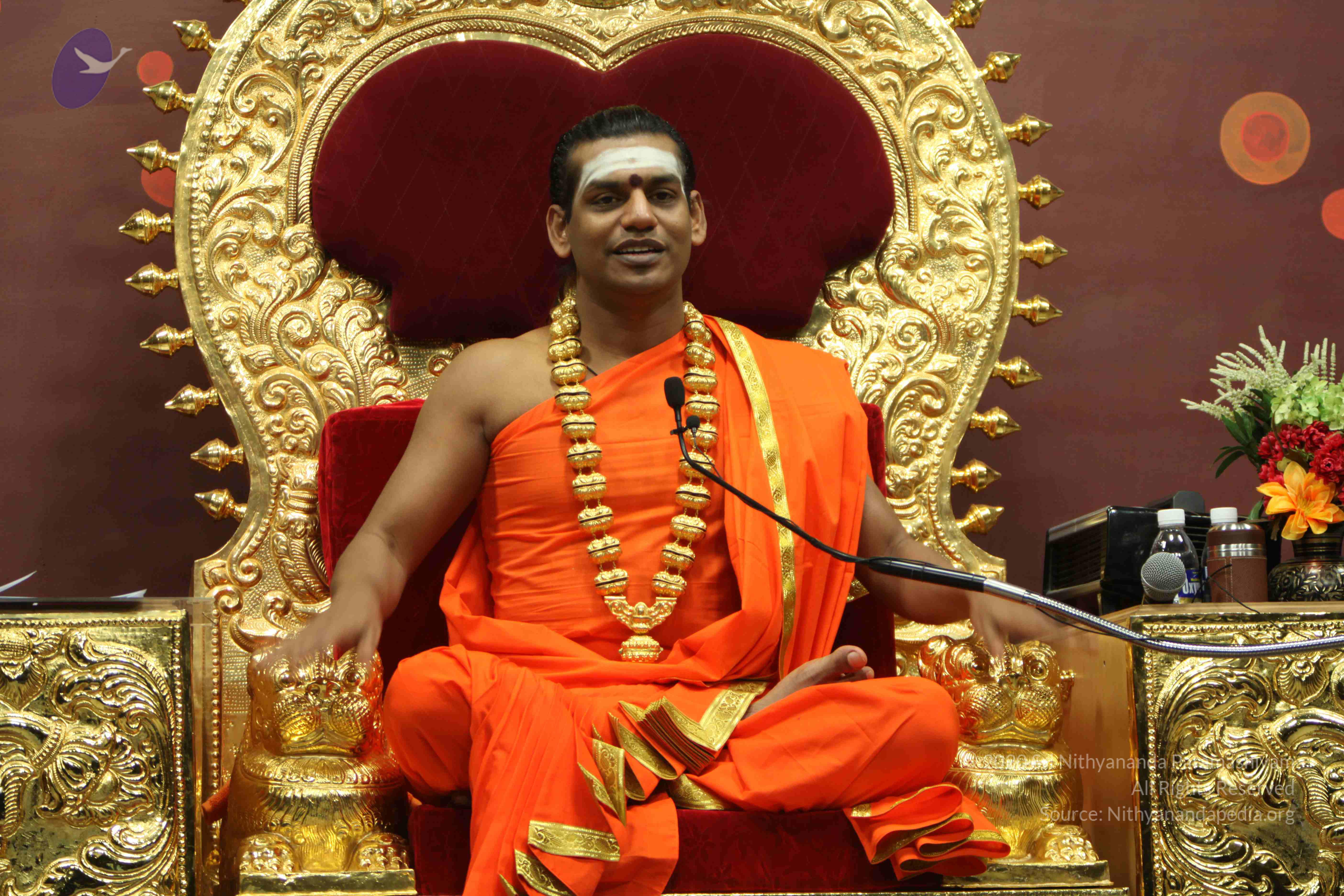 20110305_Photo_1036_IMG_8000_CMP_WM