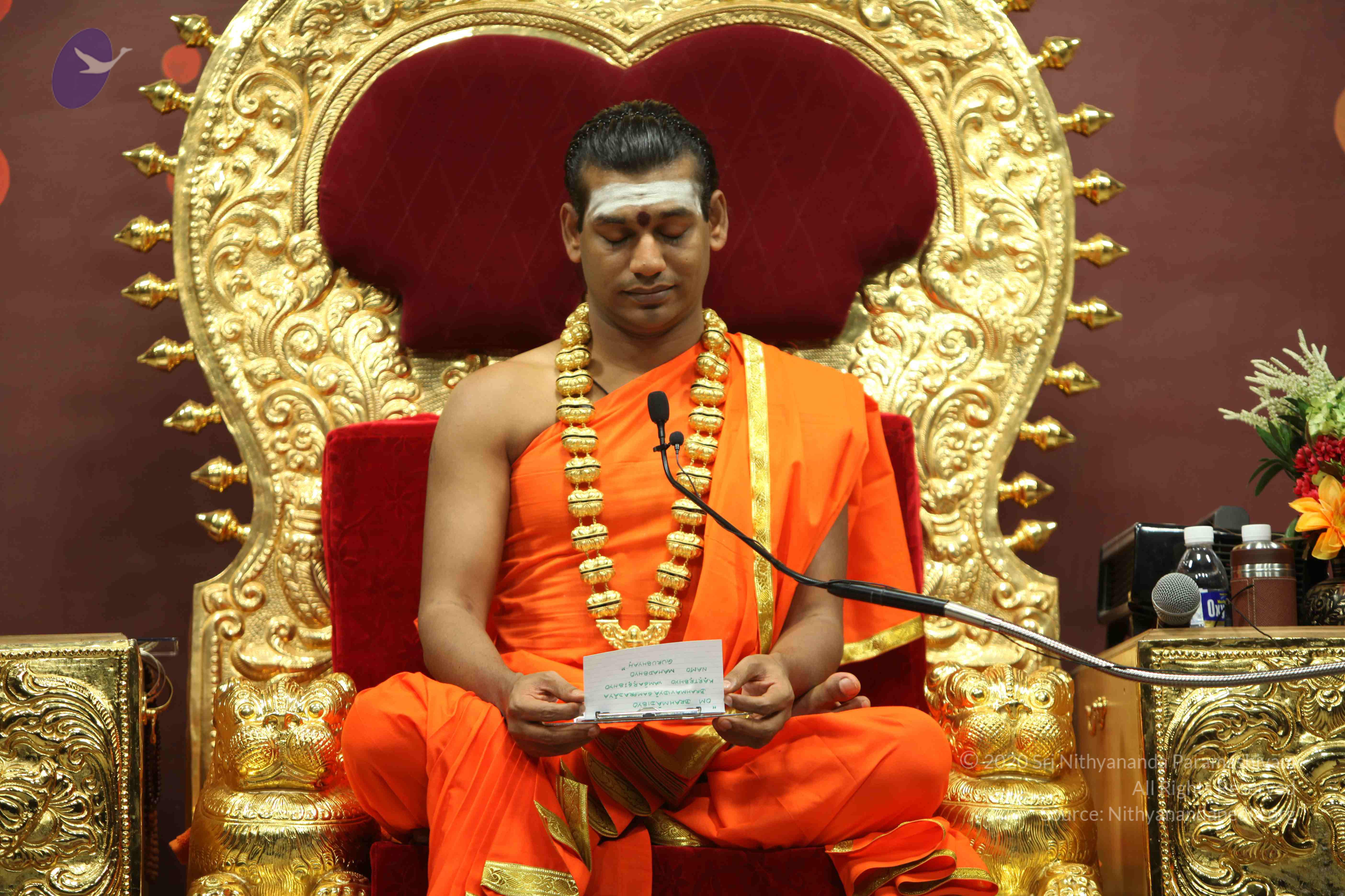 20110305_Photo_1100_IMG_7802_CMP_WM