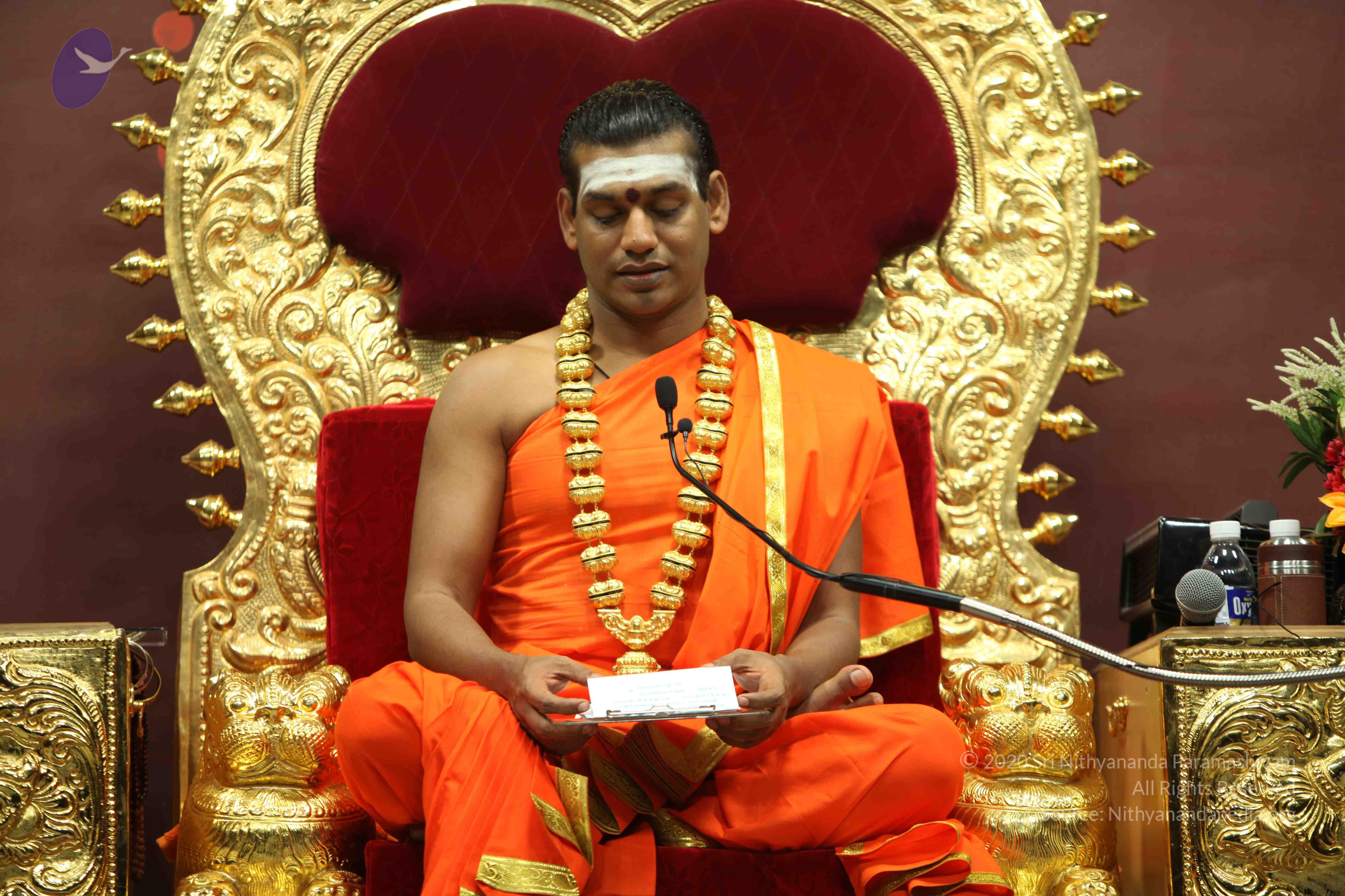 20110305_Photo_1109_IMG_7796_CMP_WM