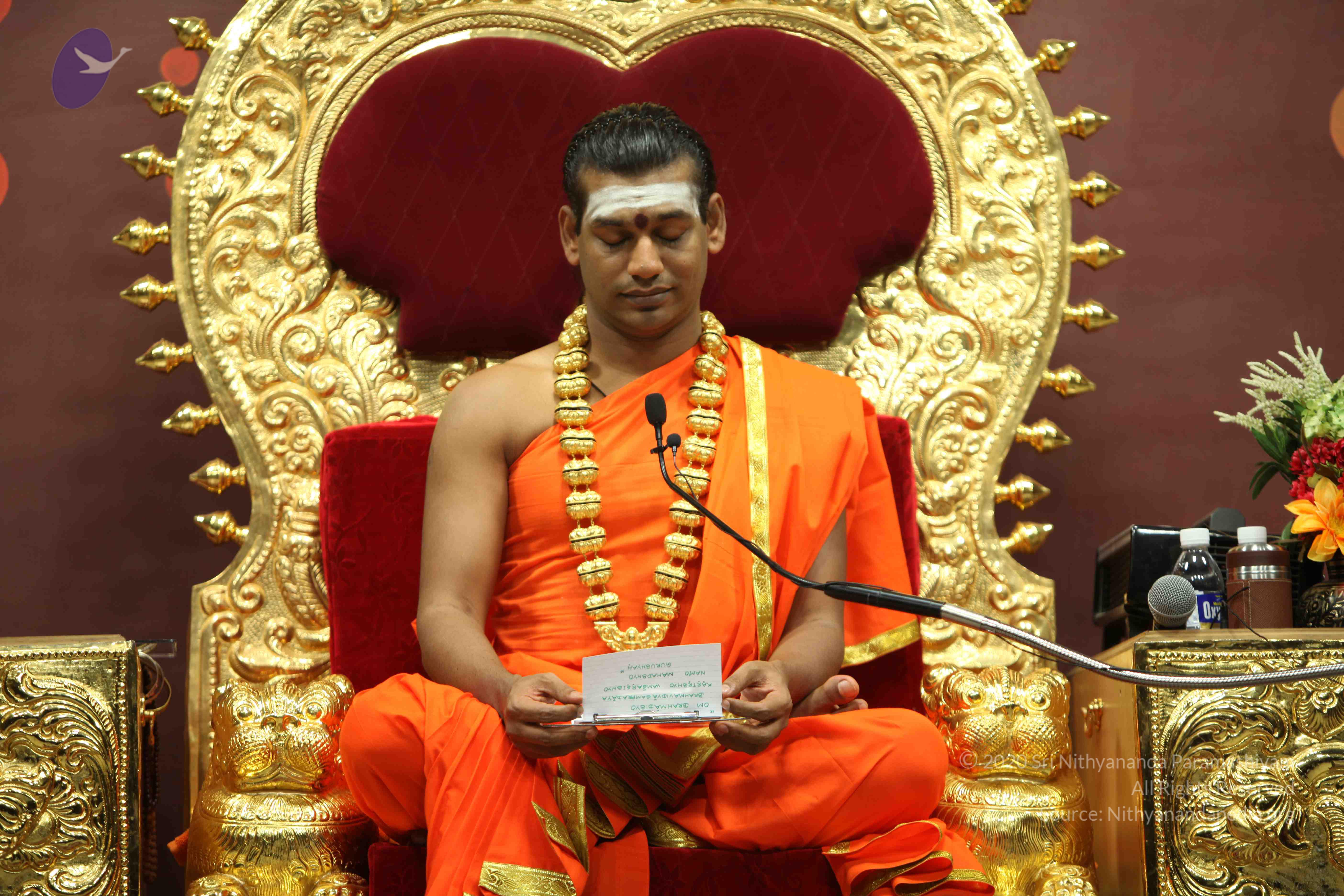 20110305_Photo_1127_IMG_7801_CMP_WM