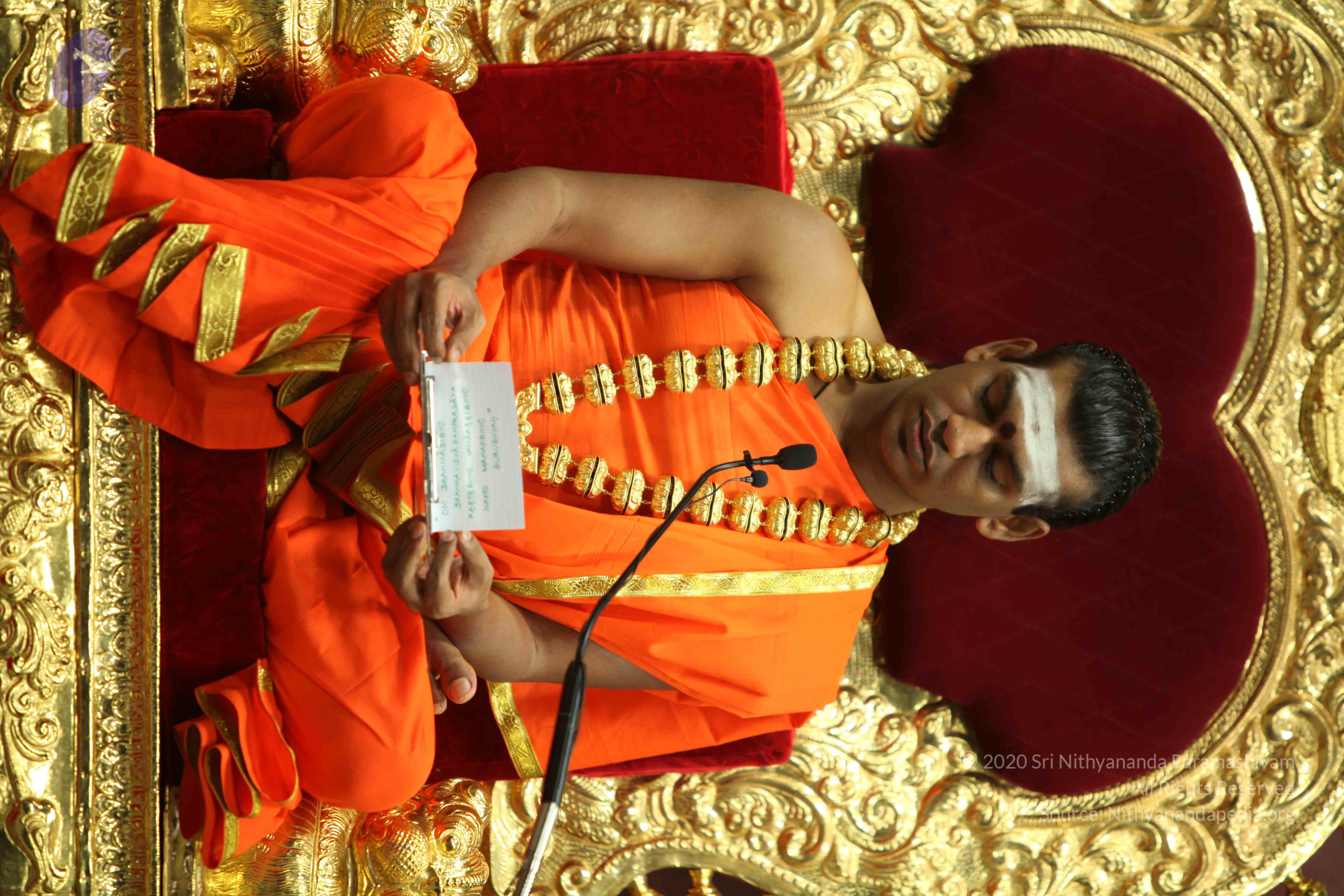 20110305_Photo_1220_IMG_7812_CMP_WM