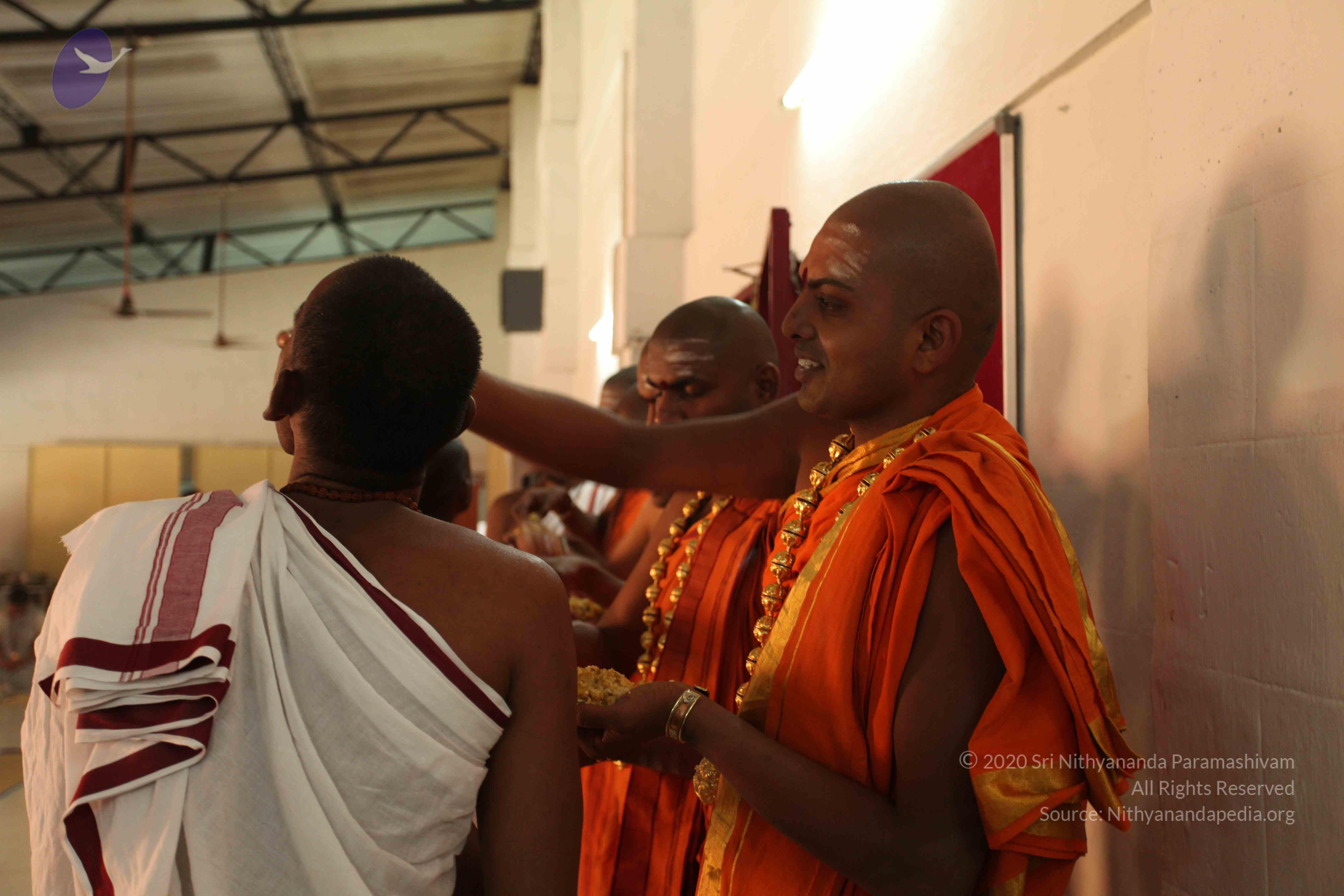 20110305_Photo_1085_IMG_7721_CMP_WM