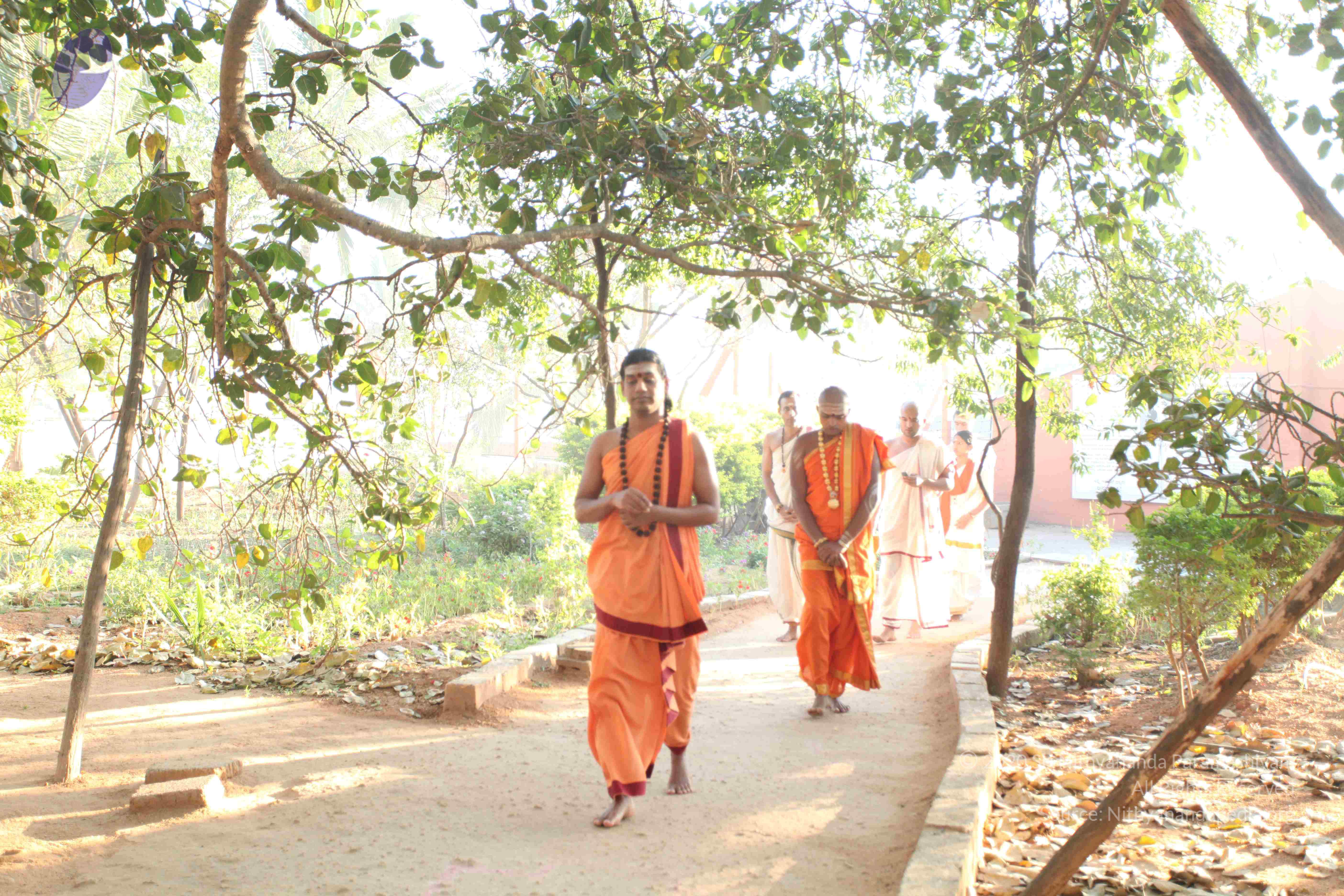 20110305_Photo_1006_IMG_7177_CMP_WM