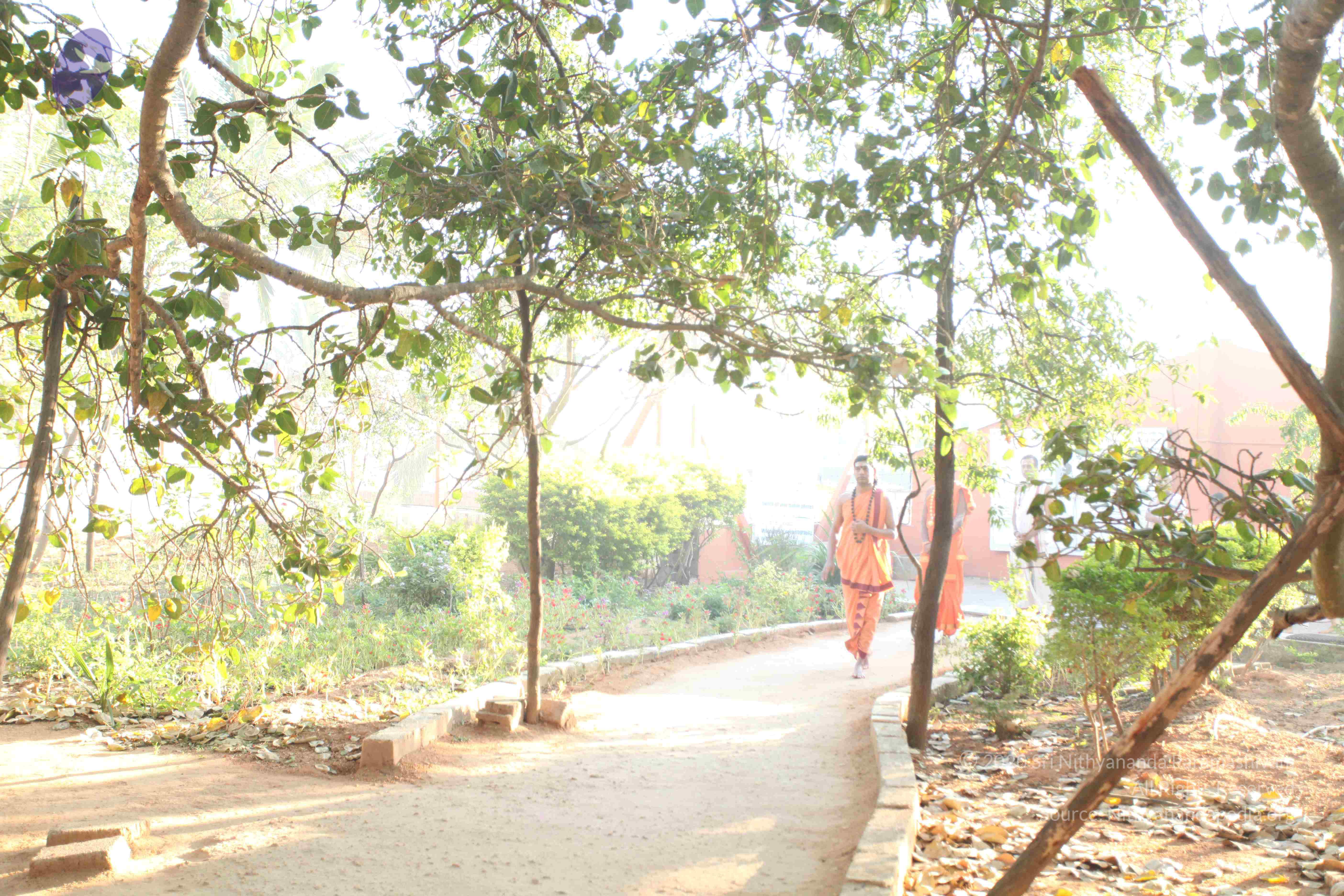 20110305_Photo_1033_IMG_7173_CMP_WM