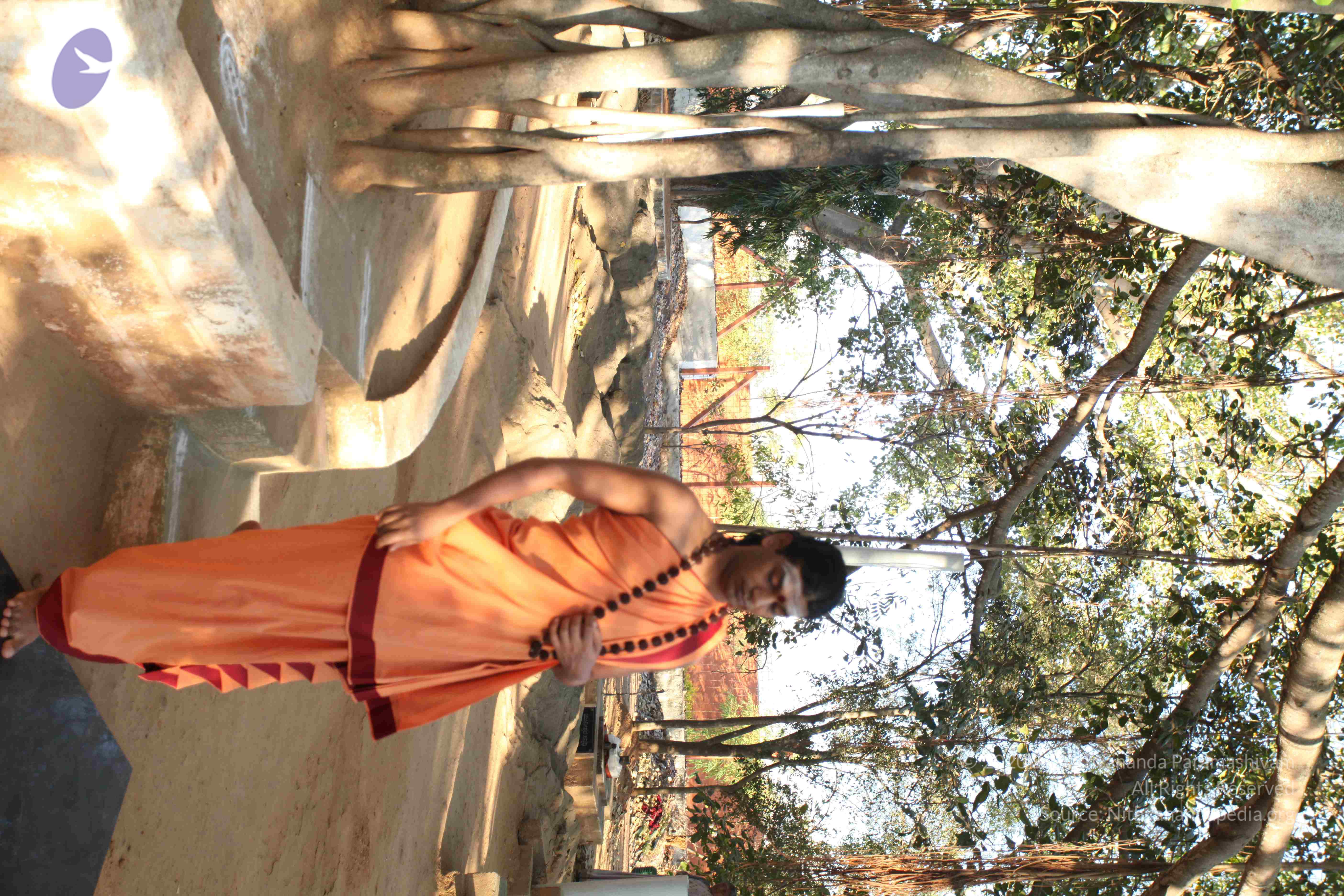 20110305_Photo_1038_IMG_7181_CMP_WM