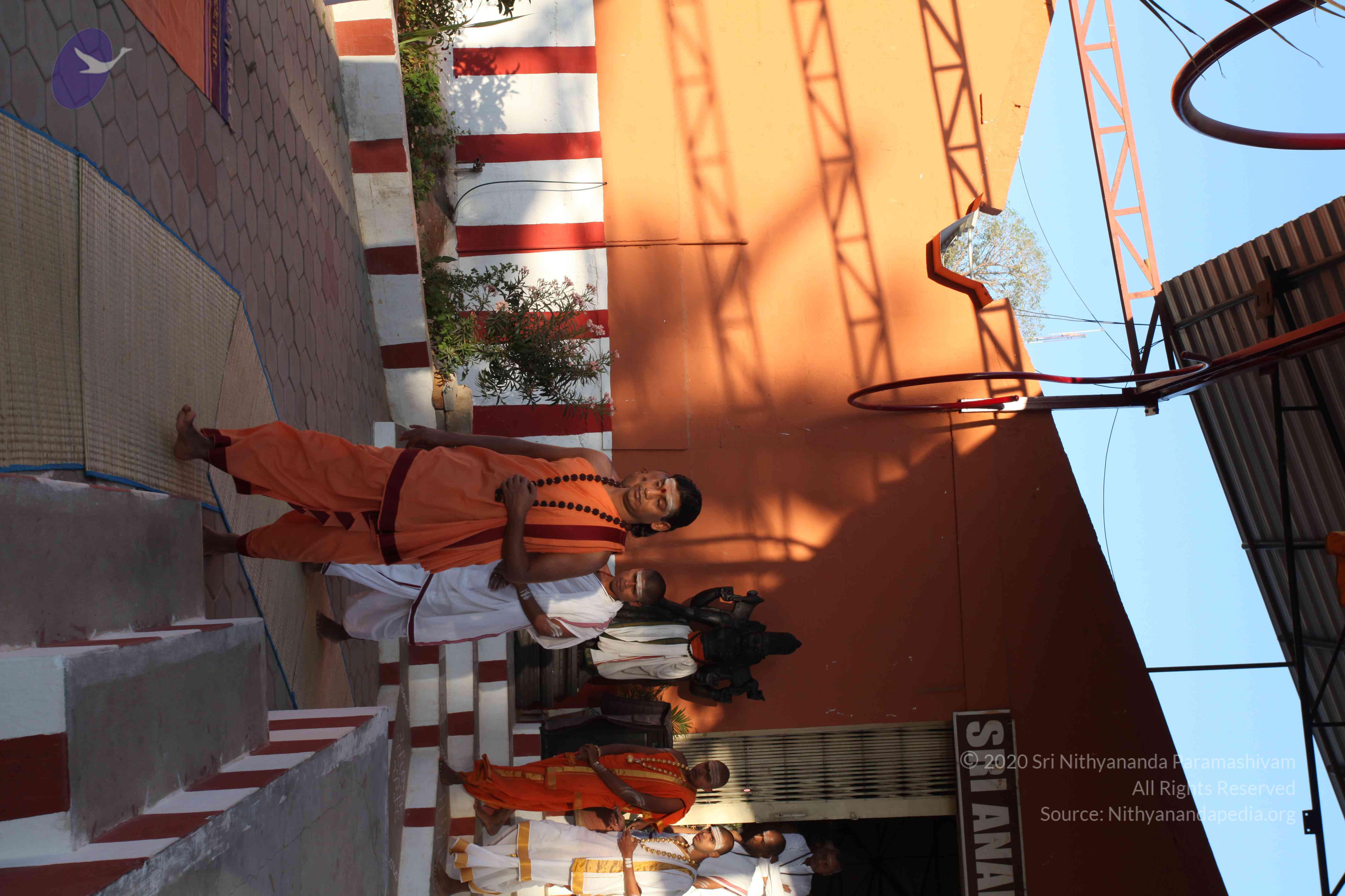 20110305_Photo_1042_IMG_7203_CMP_WM