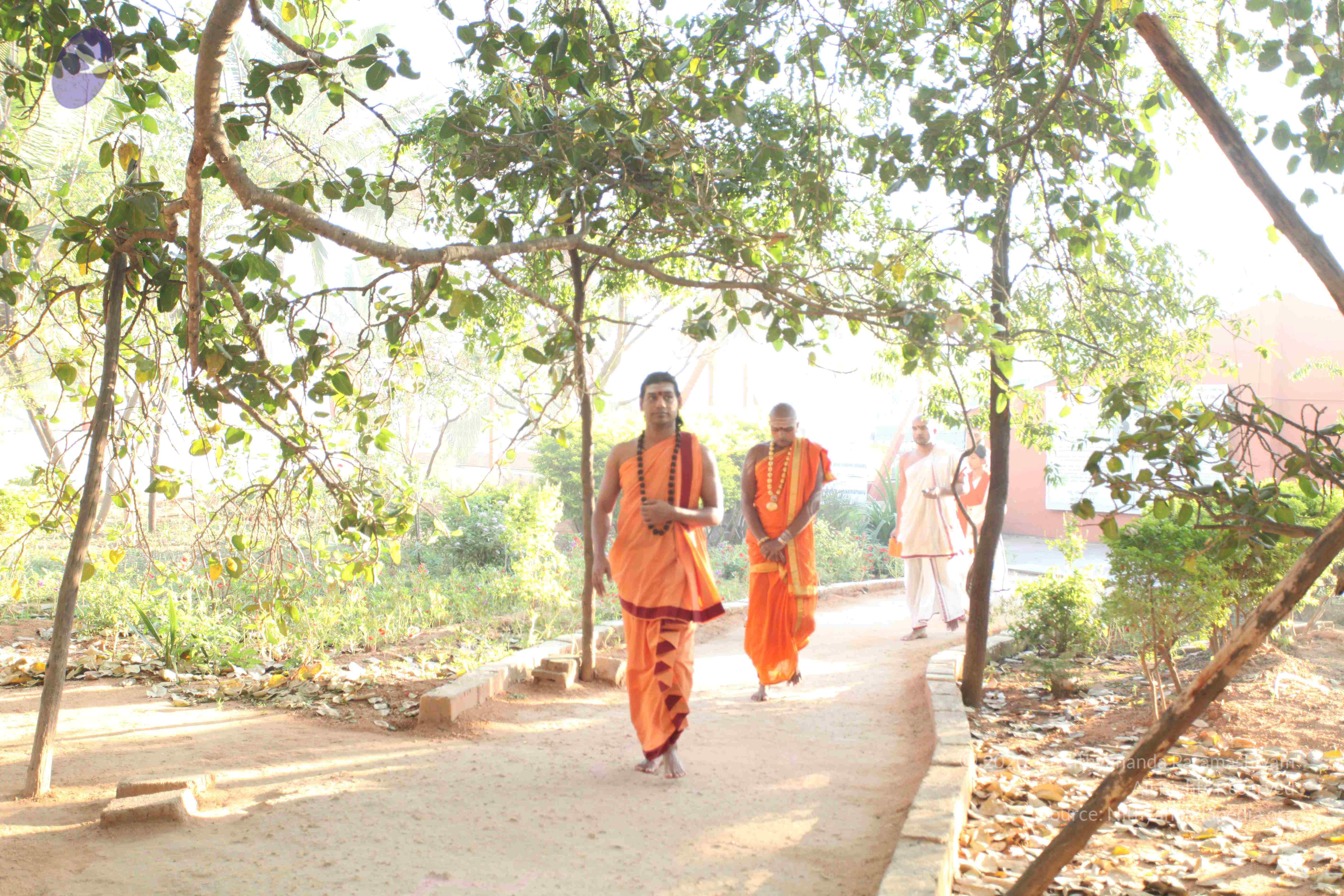 20110305_Photo_1044_IMG_7176_CMP_WM