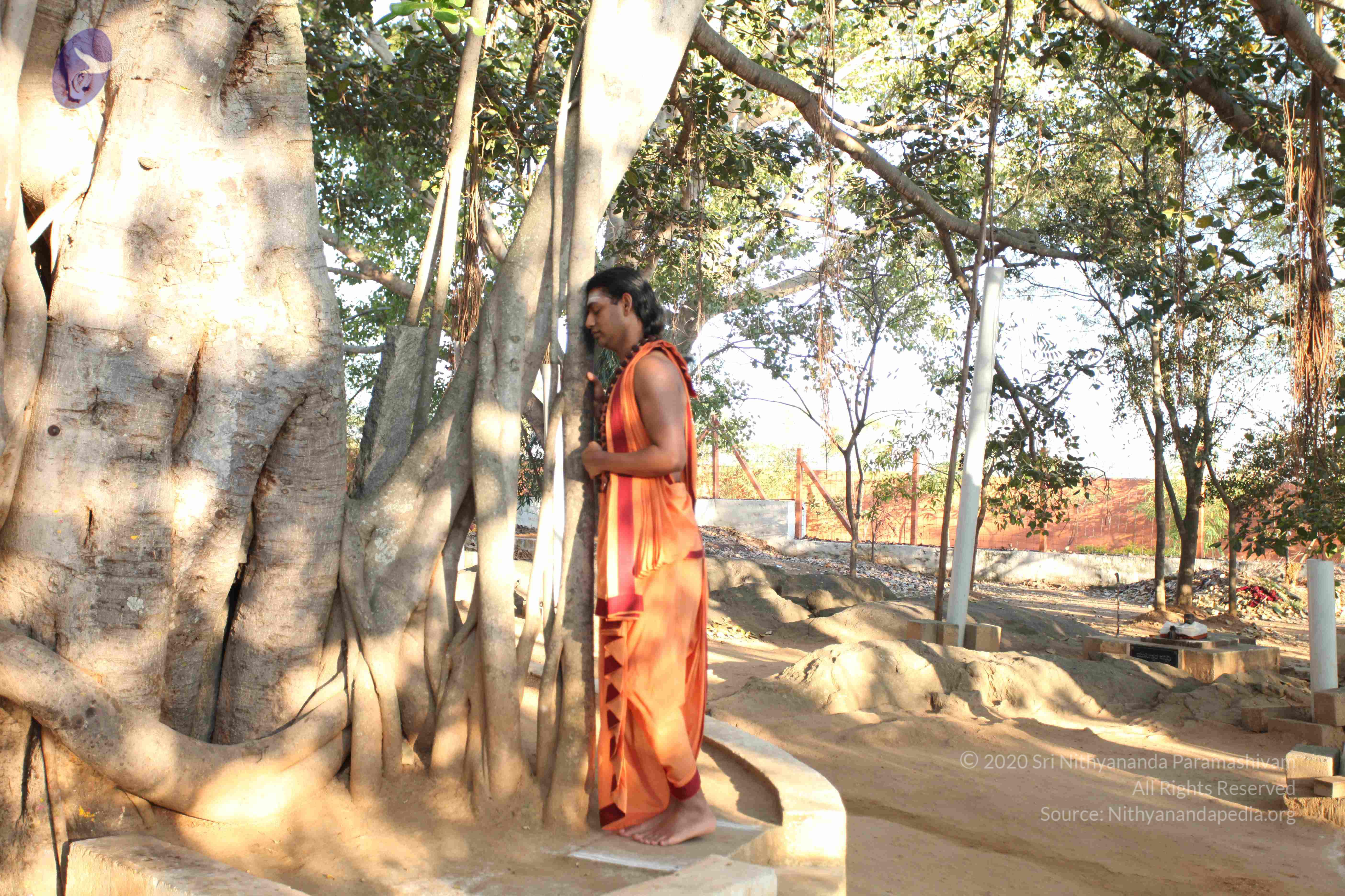 20110305_Photo_1052_IMG_7179_CMP_WM