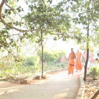 20110305_Photo_1055_IMG_7174_CMP_WM