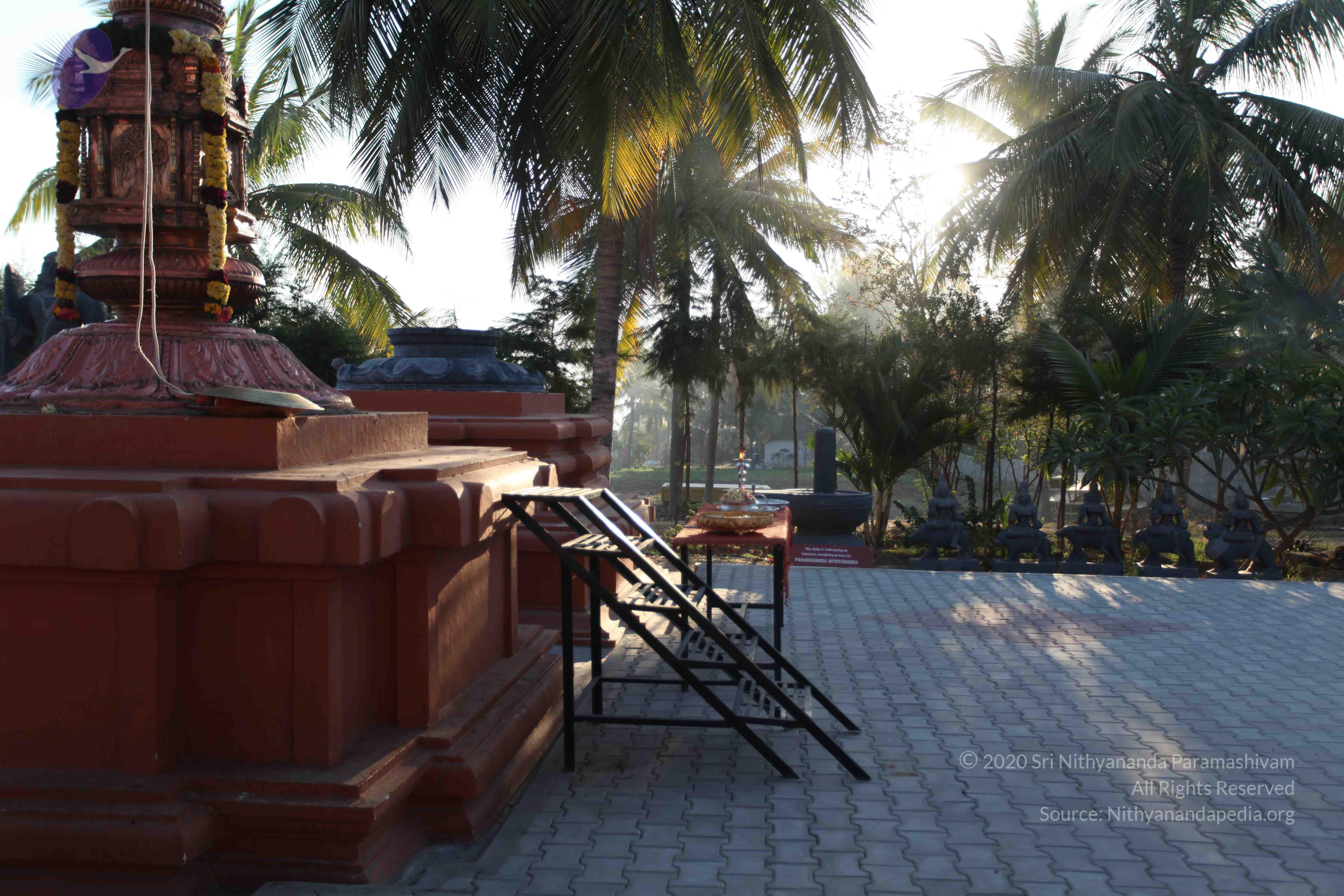 20110305_Photo_1000_IMG_7151_CMP_WM