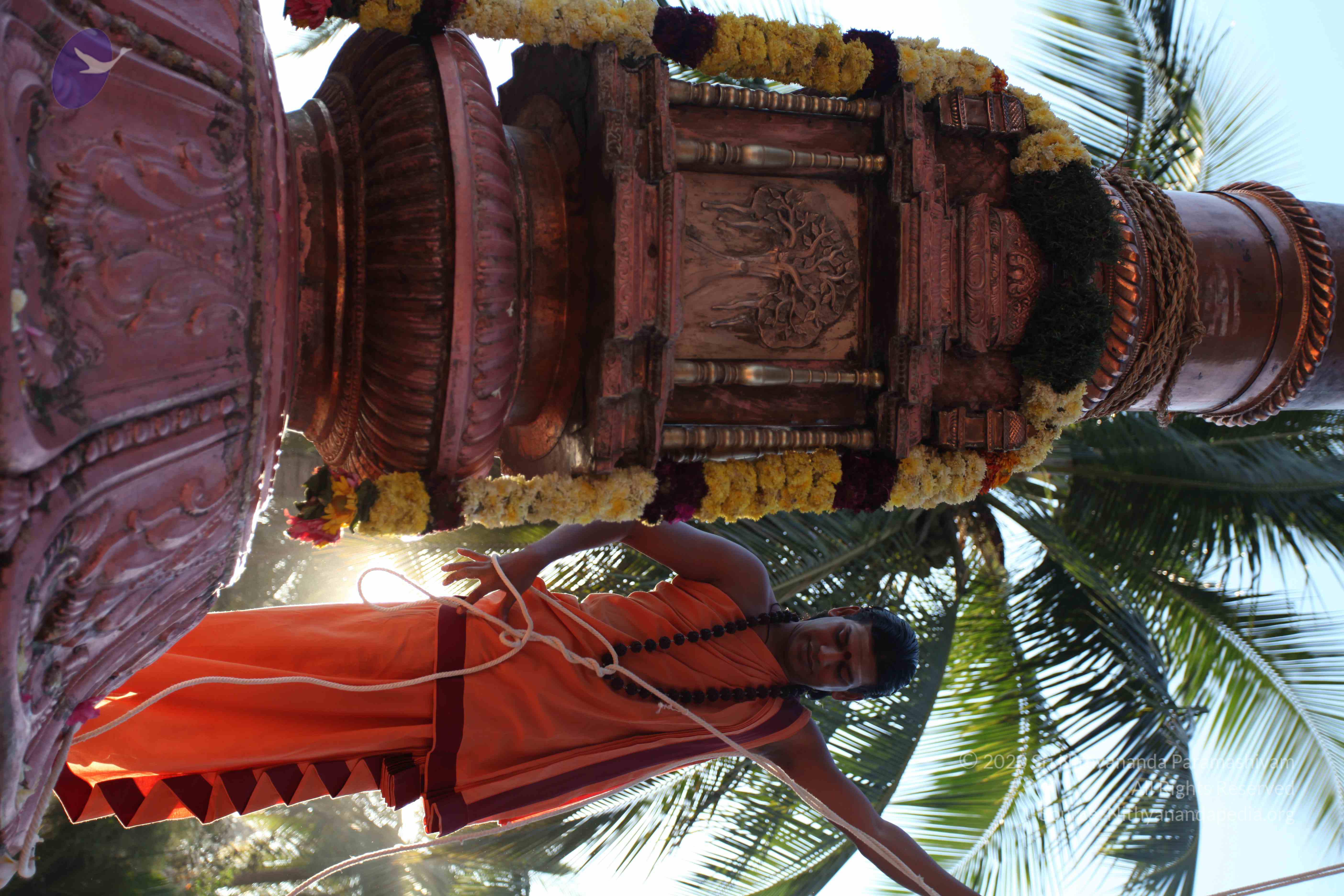 20110305_Photo_1001_IMG_7238_CMP_WM