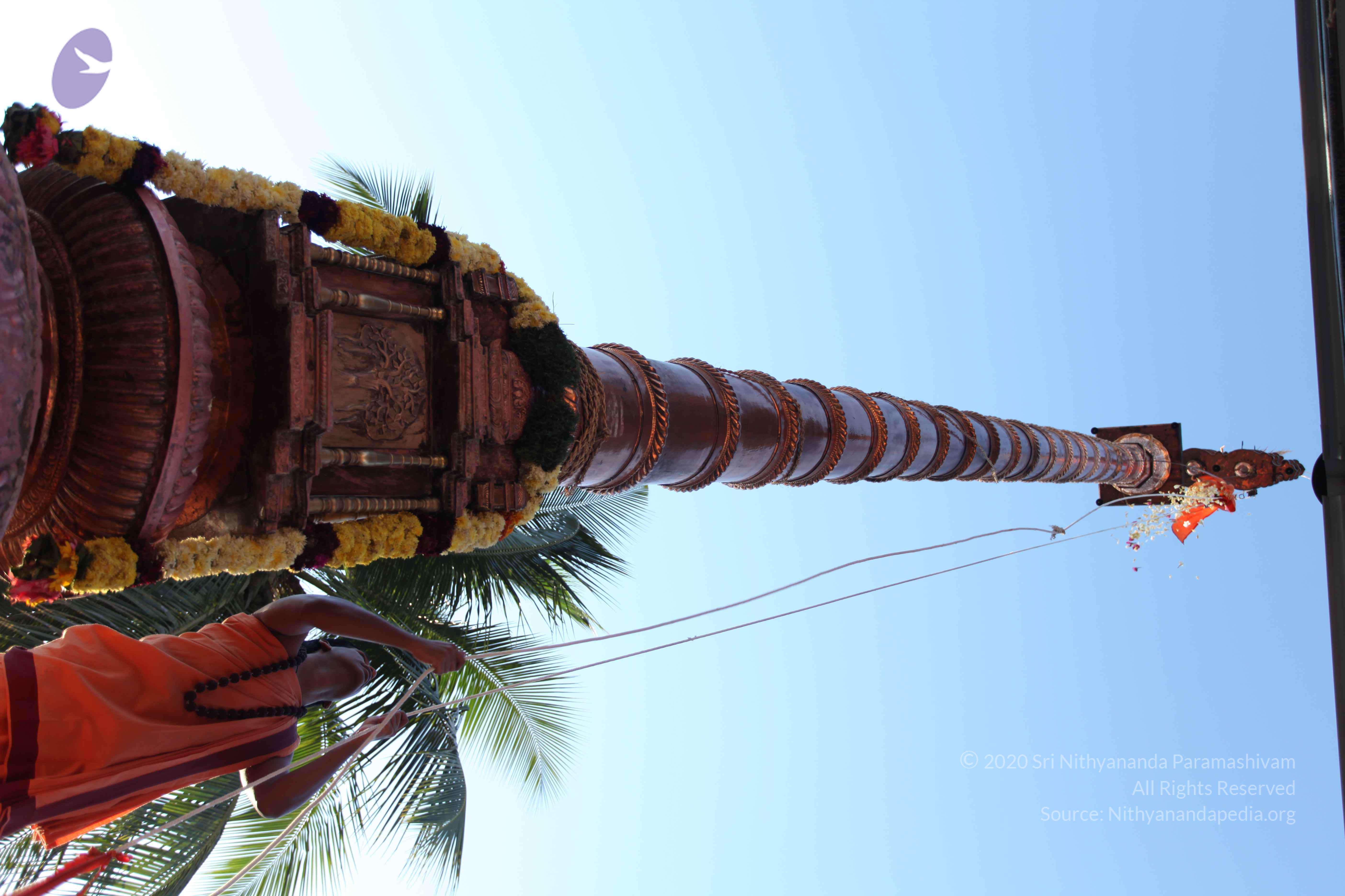 20110305_Photo_1002_IMG_7224_CMP_WM