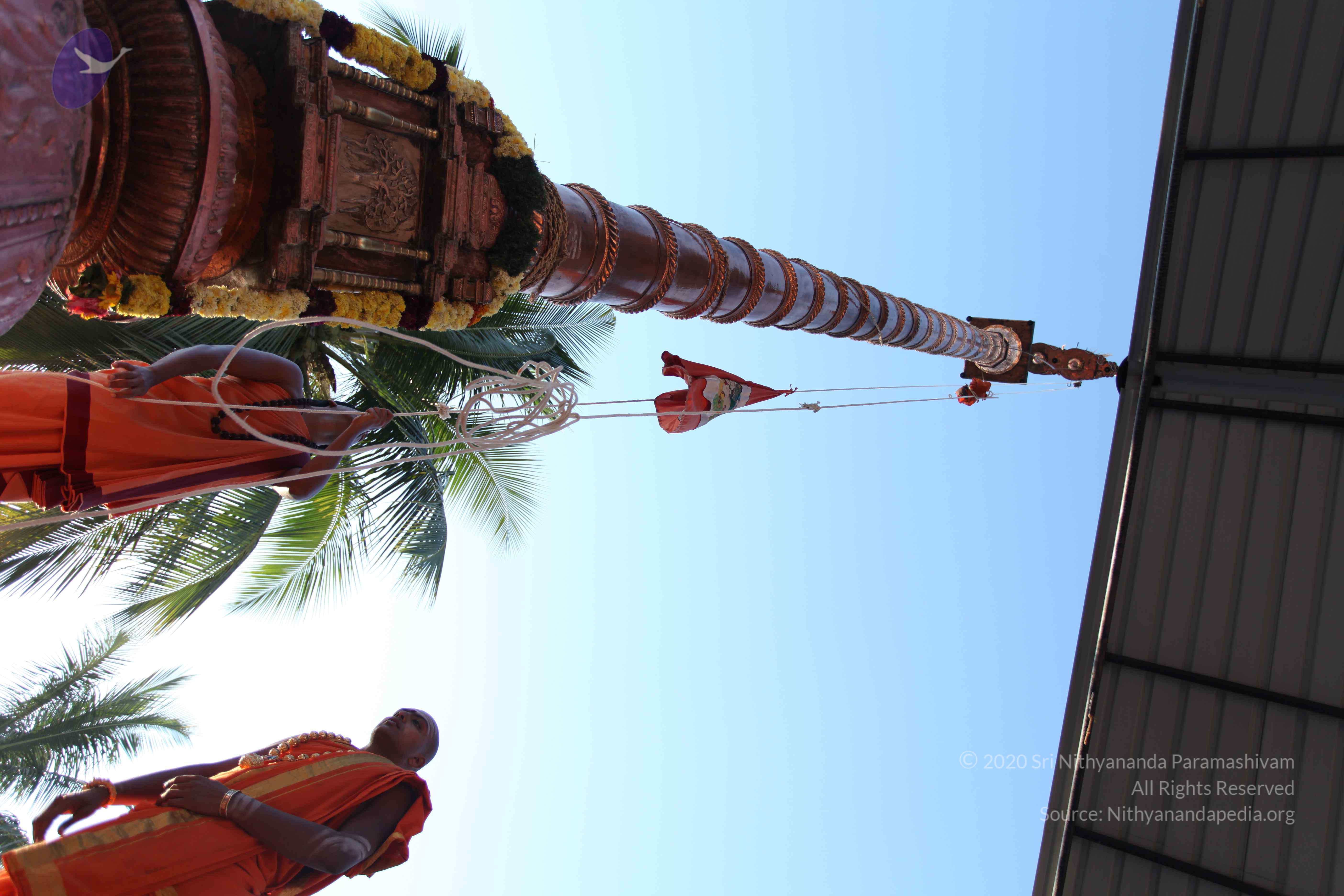 20110305_Photo_1003_IMG_7213_CMP_WM