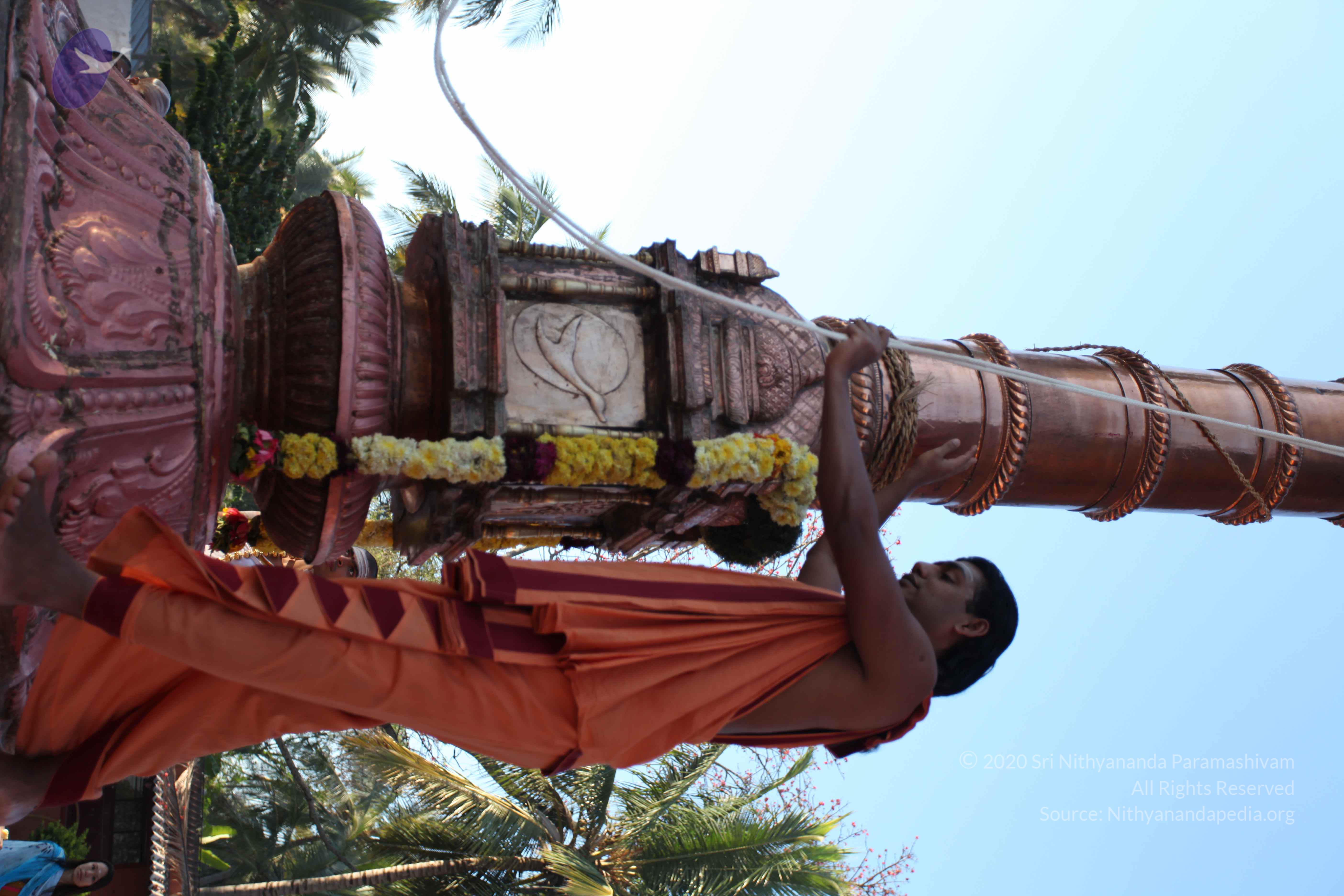 20110305_Photo_1004_IMG_7246_CMP_WM