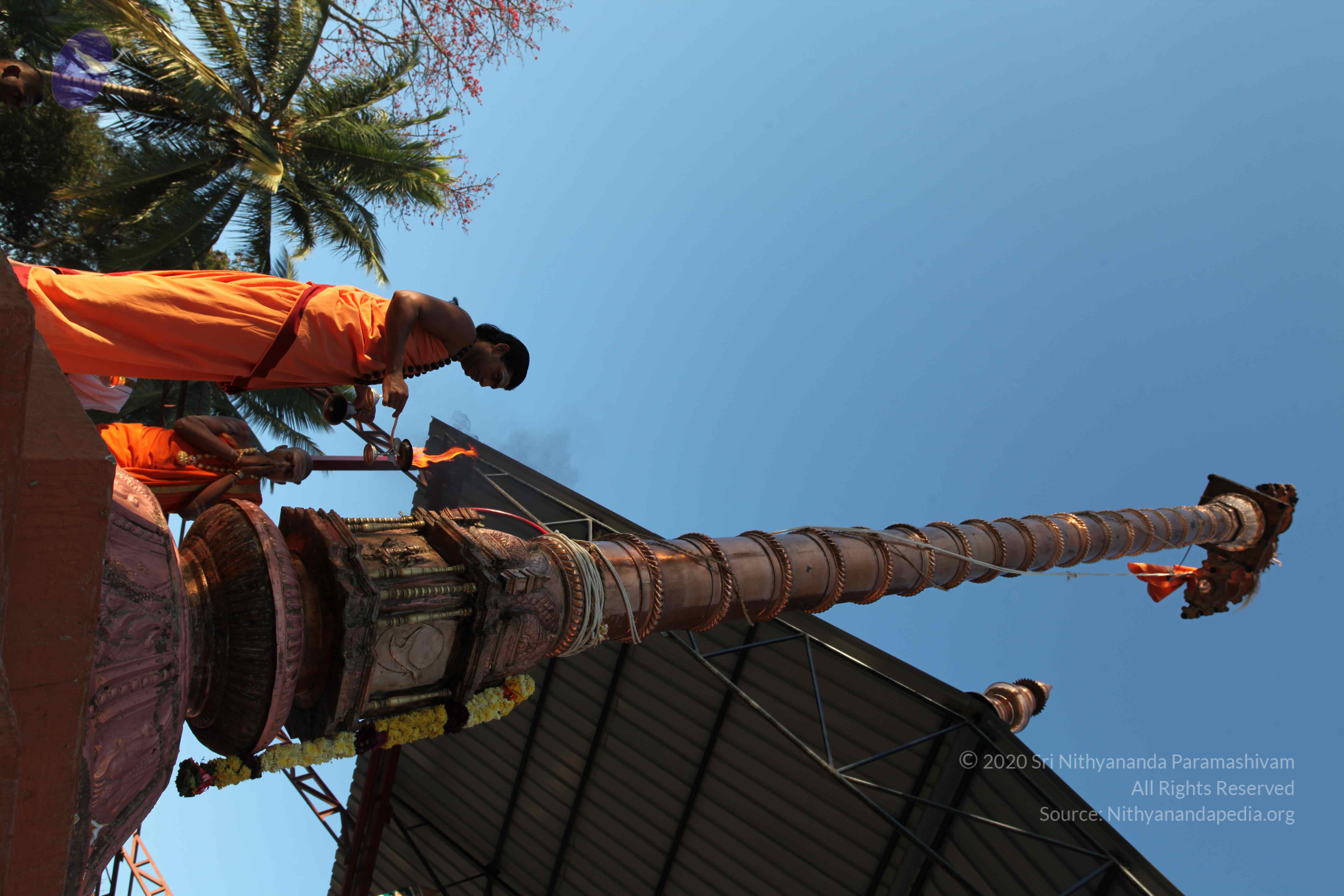 20110305_Photo_1005_IMG_7271_CMP_WM