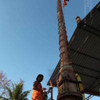 20110305_Photo_1005_IMG_7271_CMP_WM