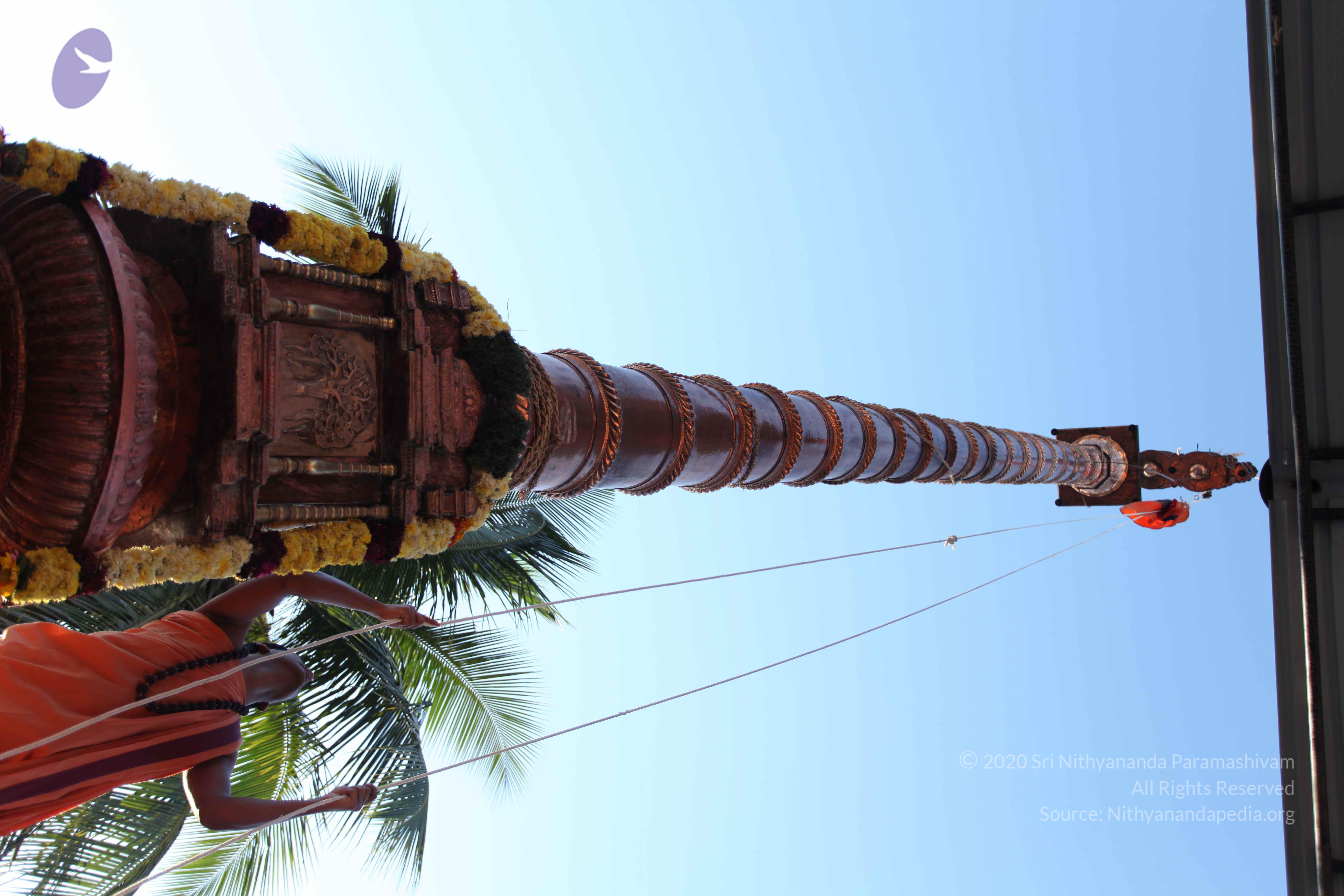 20110305_Photo_1008_IMG_7235_CMP_WM